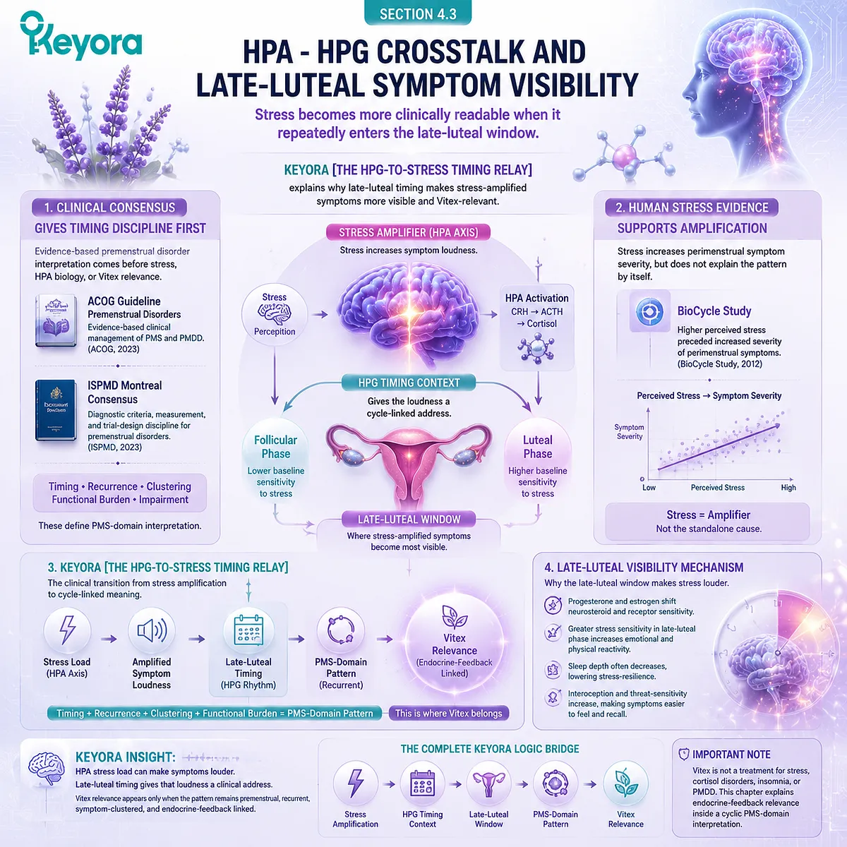 late-luteal PMS symptoms, stress response and HPA-axis activation mapped with HPG rhythm timing and HPA-HPG crosstalk, showing cycle-linked symptom visibility in Keyora HPG-To-Stress Timing Relay for endocrine feedback interpretation late-luteal PMS symptoms, stress response and HPA-axis activation mapped with HPG rhythm timing and HPA-HPG crosstalk, showing cycle-linked symptom visibility in Keyora HPG-To-Stress Timing Relay for endocrine feedback interpretation
