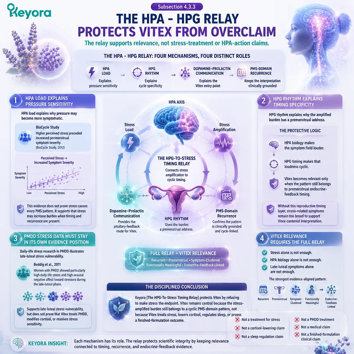 PMS stress amplification, HPA-axis load and HPG rhythm timing integrated with dopamine-prolactin signaling in Keyora HPG-To-Stress Timing Relay protecting Vitex from overclaim through cyclic endocrine feedback interpretation PMS stress amplification, HPA-axis load and HPG rhythm timing integrated with dopamine-prolactin signaling in Keyora HPG-To-Stress Timing Relay protecting Vitex from overclaim through cyclic endocrine feedback interpretation