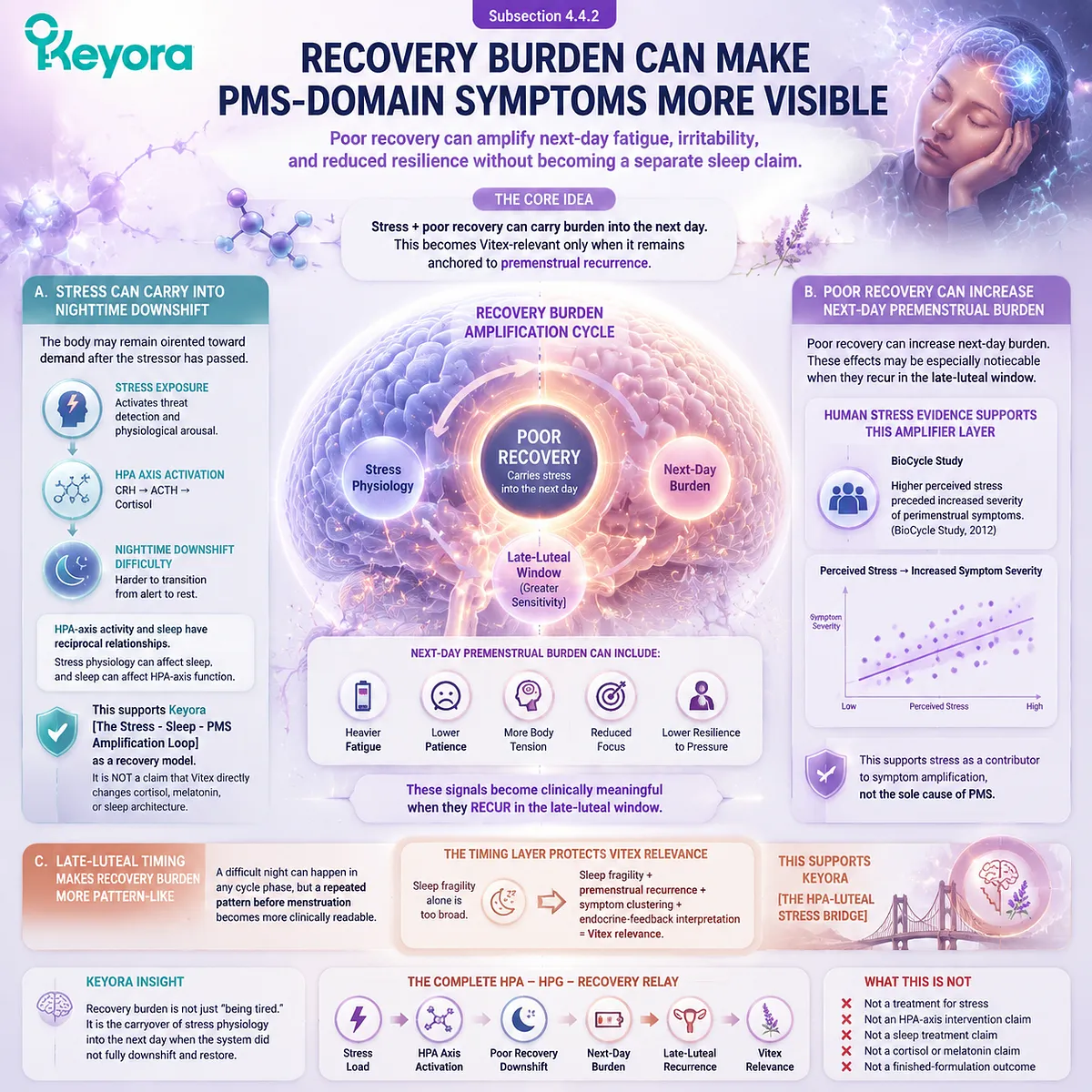 PMS recovery burden, stress-related sleep disruption and HPA-axis activation mapped through circadian recovery and HPG timing in Keyora Stress-Sleep-PMS Amplification Loop showing cycle-linked symptom amplification PMS recovery burden, stress-related sleep disruption and HPA-axis activation mapped through circadian recovery and HPG timing in Keyora Stress-Sleep-PMS Amplification Loop showing cycle-linked symptom amplification