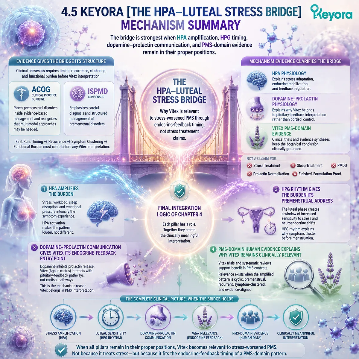 PMS stress amplification, HPA-axis activation, HPG luteal timing and dopamine-prolactin signaling integrated in Keyora HPA-Luteal Stress Bridge for endocrine feedback interpretation of cyclic symptom patterns PMS stress amplification, HPA-axis activation, HPG luteal timing and dopamine-prolactin signaling integrated in Keyora HPA-Luteal Stress Bridge for endocrine feedback interpretation of cyclic symptom patterns
