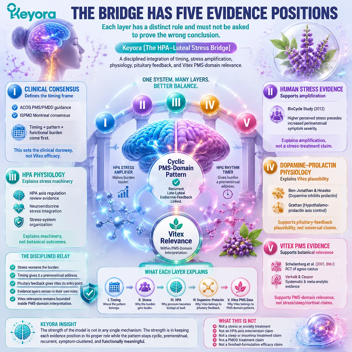 PMS-domain stress amplification, HPA-axis physiology, HPG luteal timing, dopamine-prolactin pituitary feedback and Vitex clinical evidence structured in Keyora HPA-Luteal Stress Bridge five-layer endocrine interpretation framework PMS-domain stress amplification, HPA-axis physiology, HPG luteal timing, dopamine-prolactin pituitary feedback and Vitex clinical evidence structured in Keyora HPA-Luteal Stress Bridge five-layer endocrine interpretation framework