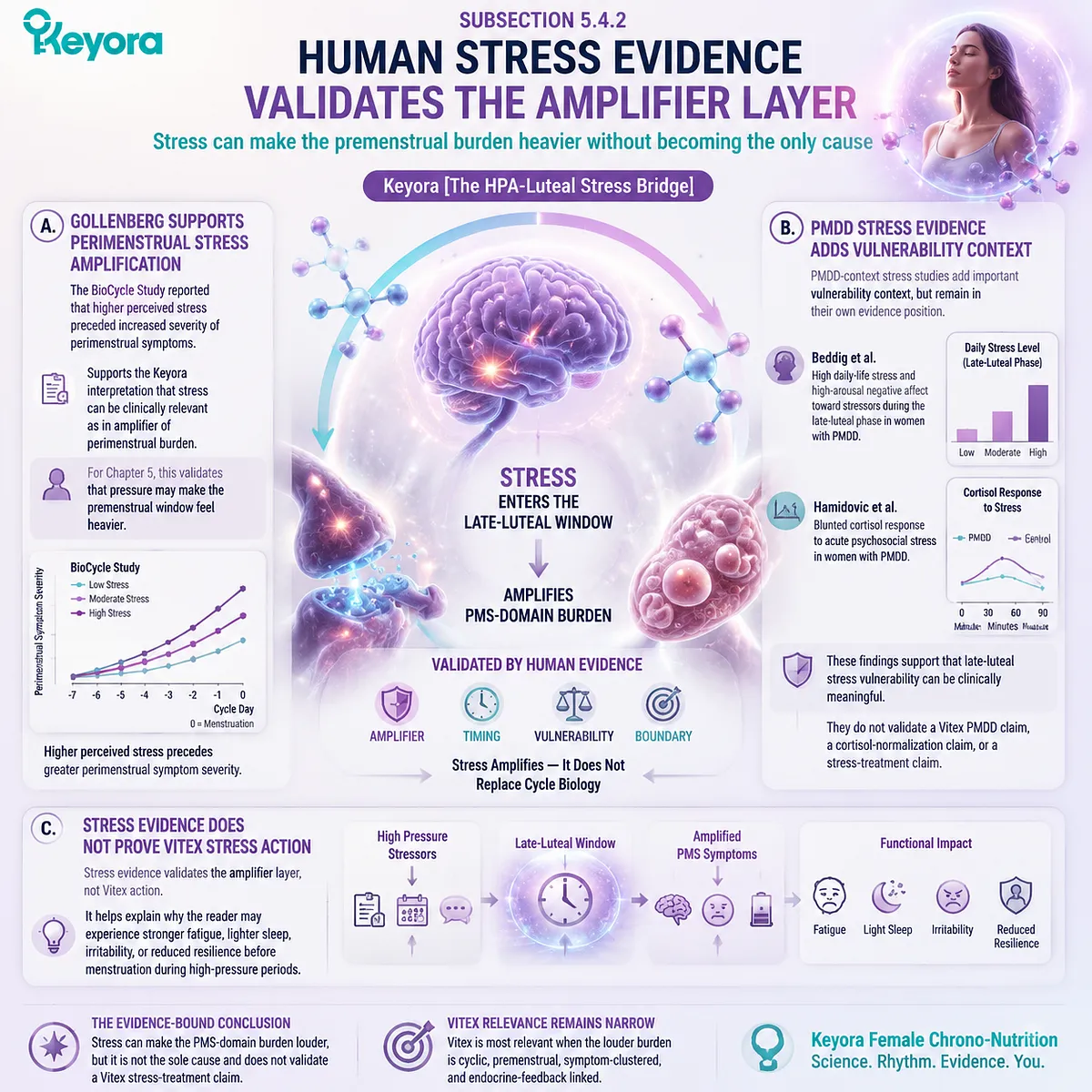 premenstrual syndrome stress amplification HPA-axis luteal phase cortisol reactivity perimenstrual symptom severity and stress vulnerability mapped within Keyora Clinical Evidence Validation Gate human stress amplifier layer framework premenstrual syndrome stress amplification HPA-axis luteal phase cortisol reactivity perimenstrual symptom severity and stress vulnerability mapped within Keyora Clinical Evidence Validation Gate human stress amplifier layer framework