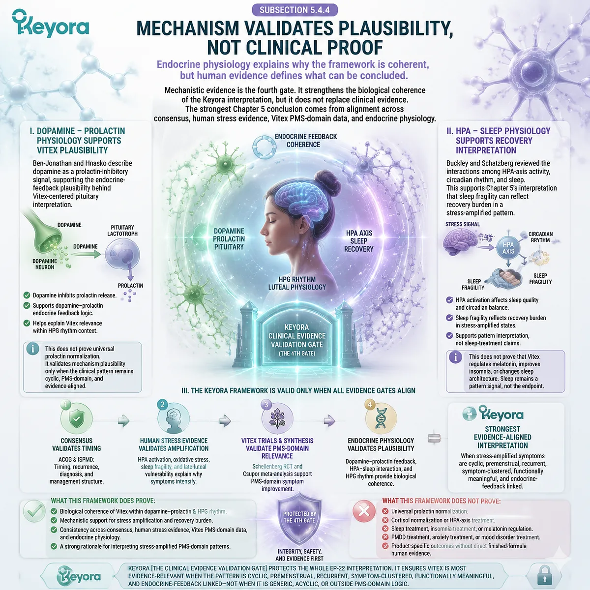 premenstrual syndrome dopamine prolactin regulation HPA-axis sleep circadian rhythm stress amplification and luteal phase endocrine physiology mapped in Keyora Clinical Evidence Validation Gate mechanistic plausibility framework for Vitex PMS relevance premenstrual syndrome dopamine prolactin regulation HPA-axis sleep circadian rhythm stress amplification and luteal phase endocrine physiology mapped in Keyora Clinical Evidence Validation Gate mechanistic plausibility framework for Vitex PMS relevance