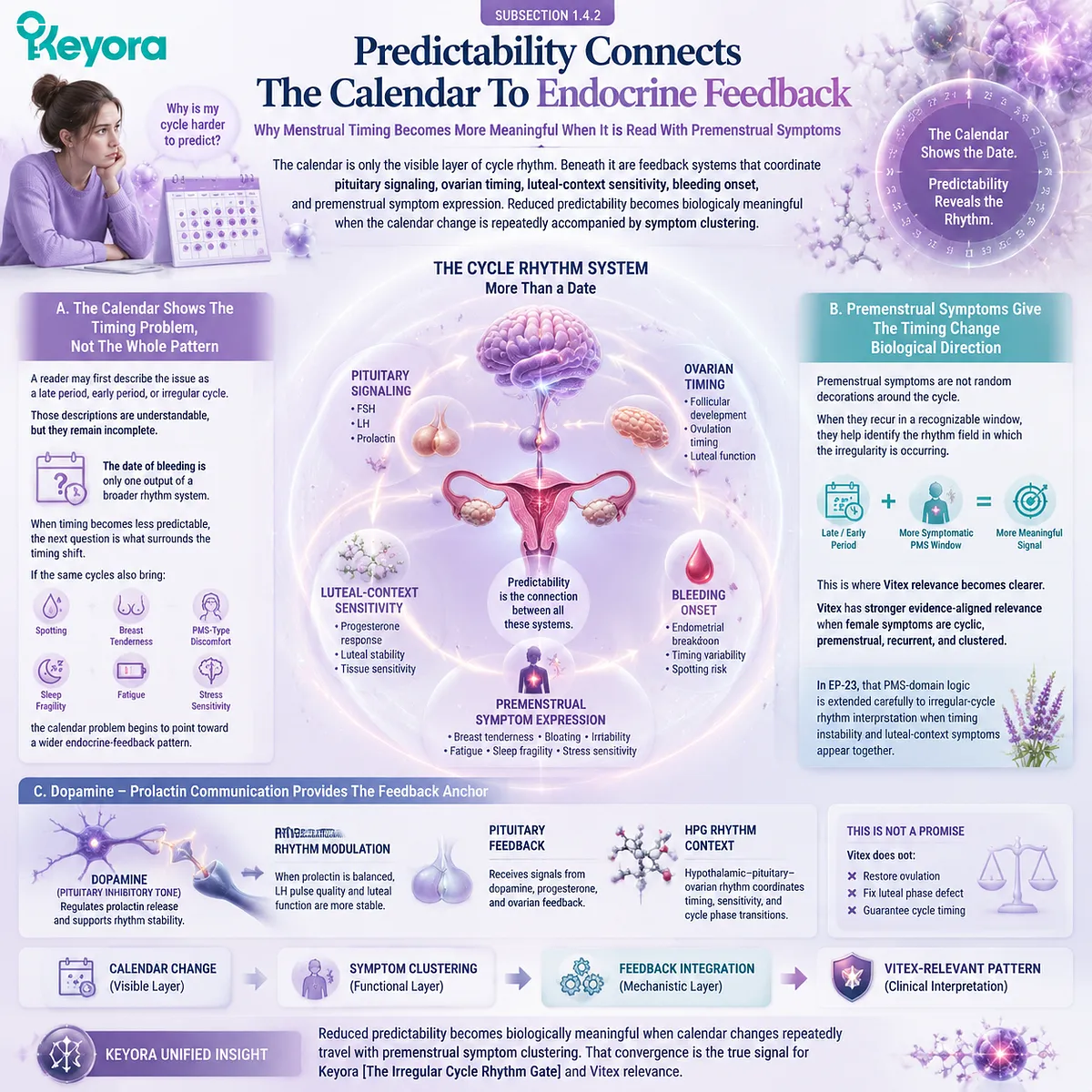 Menstrual cycle irregularity and reduced predictability linked to HPO axis feedback variability and dopamine–prolactin signaling, Keyora Cycle Predictability Signal for endocrine rhythm mapping with PMS symptom clustering Menstrual cycle irregularity and reduced predictability linked to HPO axis feedback variability and dopamine–prolactin signaling, Keyora Cycle Predictability Signal for endocrine rhythm mapping with PMS symptom clustering