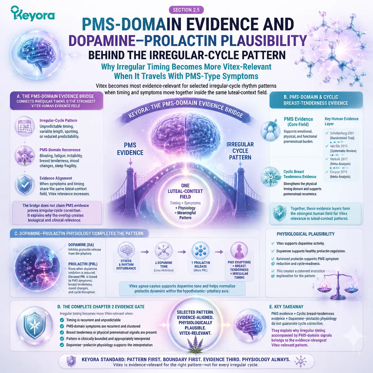 PMS symptoms and irregular cycles linked via dopamine–prolactin feedback and HPG rhythm, enhancing Vitex relevance through Keyora PMS-Domain Evidence Bridge framework PMS symptoms and irregular cycles linked via dopamine–prolactin feedback and HPG rhythm, enhancing Vitex relevance through Keyora PMS-Domain Evidence Bridge framework