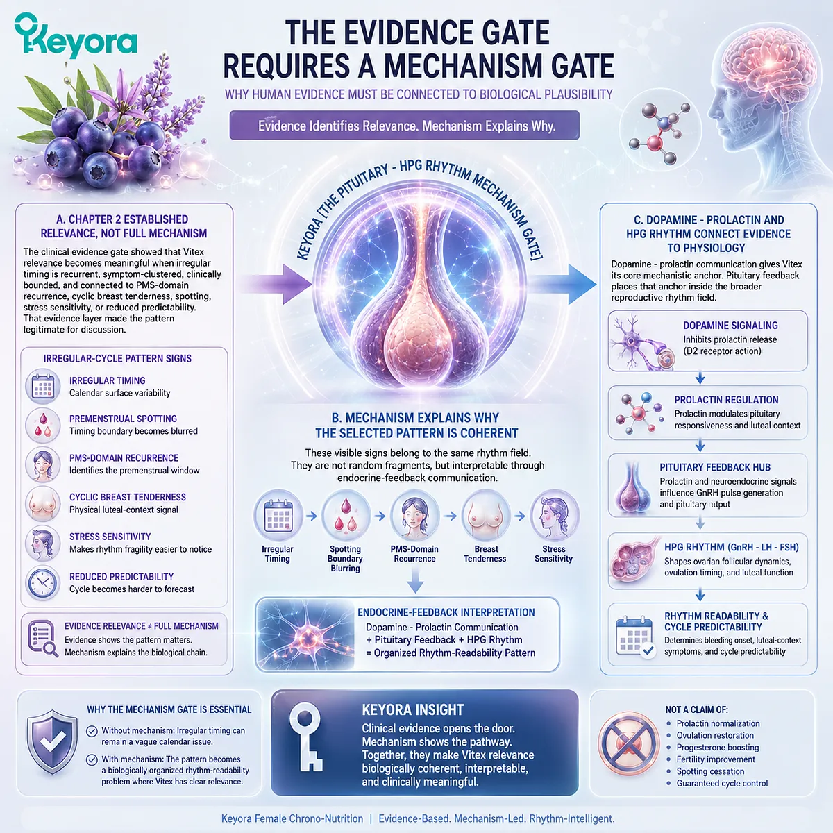 Irregular menstrual cycle support gains biological meaning when human evidence is linked to dopamine-prolactin communication, pituitary feedback, and HPG rhythm through the Keyora Pituitary-HPG Rhythm Mechanism Gate. Irregular menstrual cycle support gains biological meaning when human evidence is linked to dopamine-prolactin communication, pituitary feedback, and HPG rhythm through the Keyora Pituitary-HPG Rhythm Mechanism Gate.