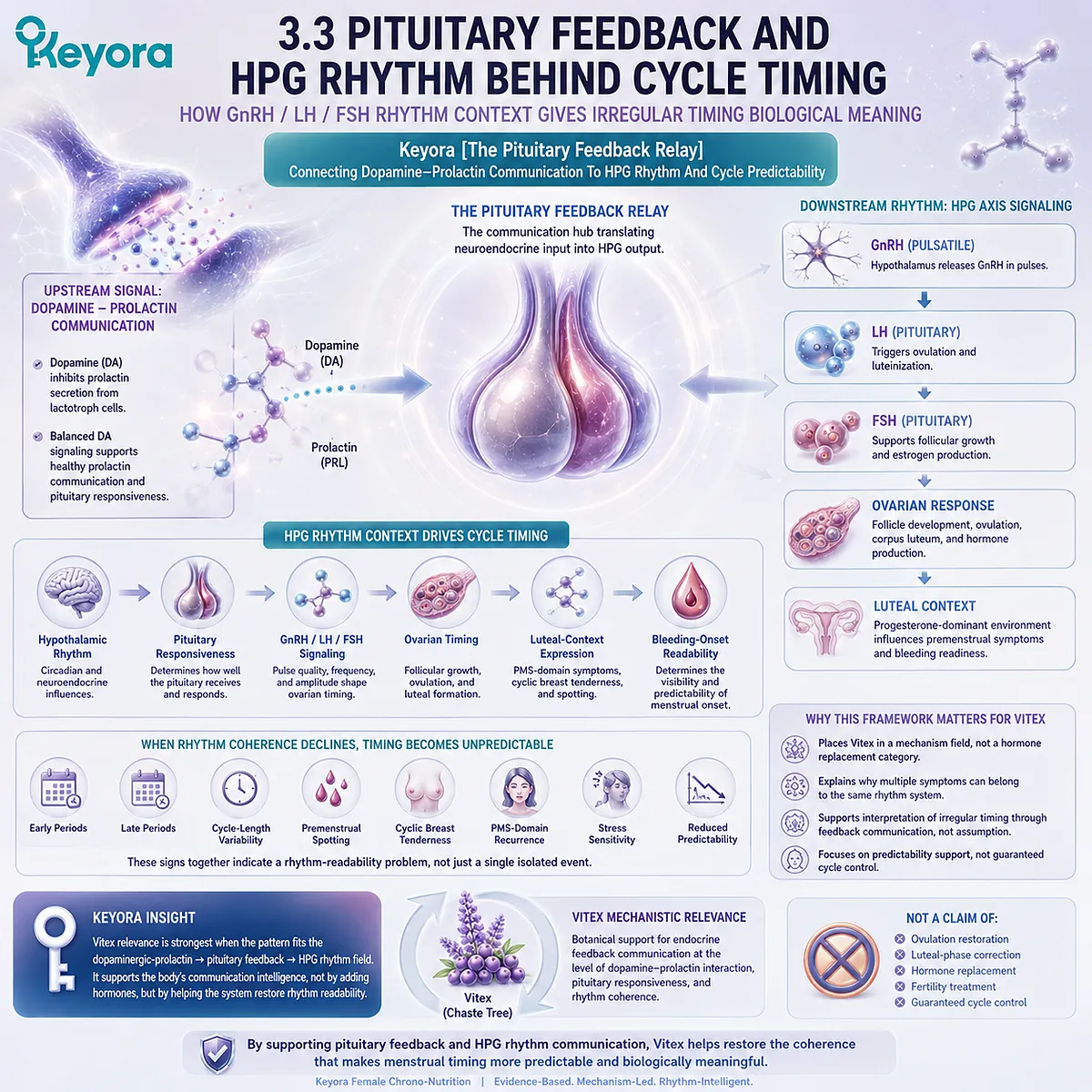 Irregular menstrual cycle support is interpreted through pituitary feedback, GnRH/LH/FSH rhythm, dopamine-prolactin communication, and HPG coordination, improving cycle predictability within the Keyora Pituitary Feedback Relay. Irregular menstrual cycle support is interpreted through pituitary feedback, GnRH/LH/FSH rhythm, dopamine-prolactin communication, and HPG coordination, improving cycle predictability within the Keyora Pituitary Feedback Relay.