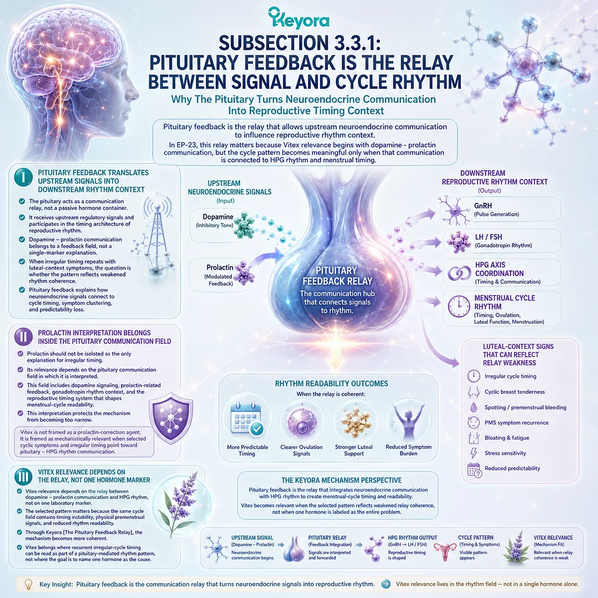 Irregular menstrual cycle support is explained through pituitary feedback linking dopamine-prolactin communication with HPG rhythm, helping interpret recurrent timing patterns within the Keyora Pituitary Feedback Relay. Irregular menstrual cycle support is explained through pituitary feedback linking dopamine-prolactin communication with HPG rhythm, helping interpret recurrent timing patterns within the Keyora Pituitary Feedback Relay.
