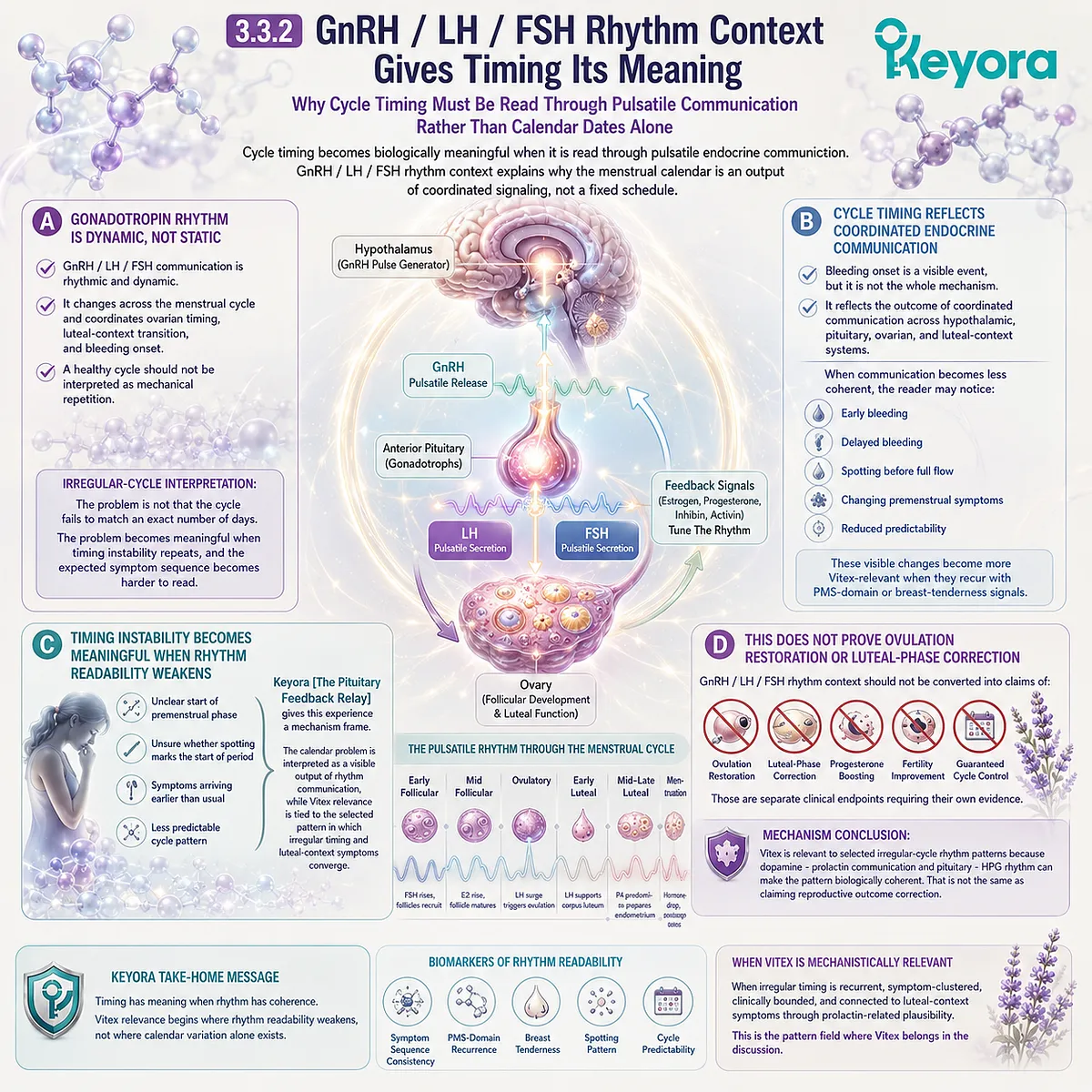 Irregular menstrual cycle support is interpreted through GnRH, LH, and FSH rhythm, pituitary feedback, and HPG coordination, linking pulsatile endocrine communication with cycle predictability in the Keyora Pituitary Feedback Relay. Irregular menstrual cycle support is interpreted through GnRH, LH, and FSH rhythm, pituitary feedback, and HPG coordination, linking pulsatile endocrine communication with cycle predictability in the Keyora Pituitary Feedback Relay.