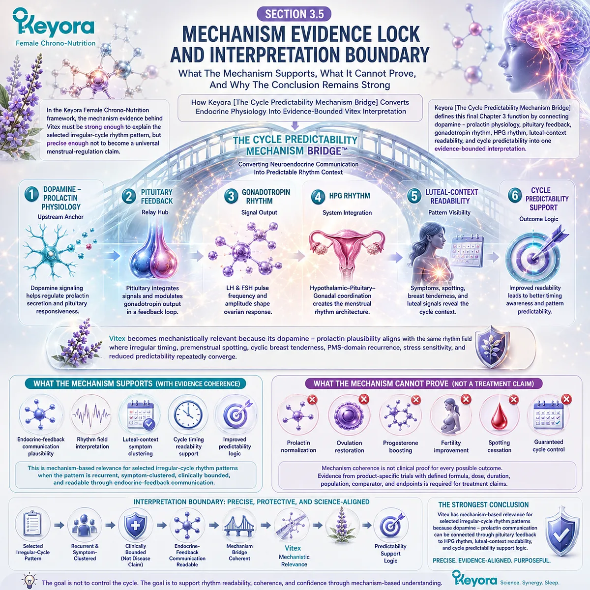Irregular menstrual cycle support is explained through dopamine-prolactin communication, pituitary feedback, HPG rhythm, and luteal-context readability, defining evidence-bounded cycle predictability within the Keyora Cycle Predictability Mechanism Bridge. Irregular menstrual cycle support is explained through dopamine-prolactin communication, pituitary feedback, HPG rhythm, and luteal-context readability, defining evidence-bounded cycle predictability within the Keyora Cycle Predictability Mechanism Bridge.