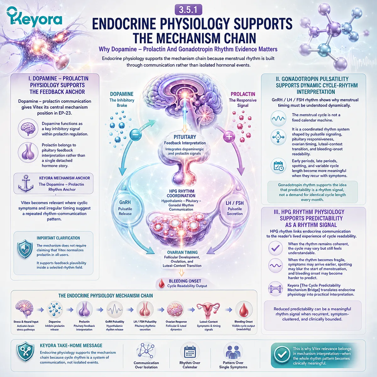 Irregular menstrual cycle support is explained through dopamine-prolactin physiology, GnRH/LH/FSH pulsatility, pituitary feedback, and HPG rhythm, linking cycle predictability to the Keyora Cycle Predictability Mechanism Bridge. Irregular menstrual cycle support is explained through dopamine-prolactin physiology, GnRH/LH/FSH pulsatility, pituitary feedback, and HPG rhythm, linking cycle predictability to the Keyora Cycle Predictability Mechanism Bridge.