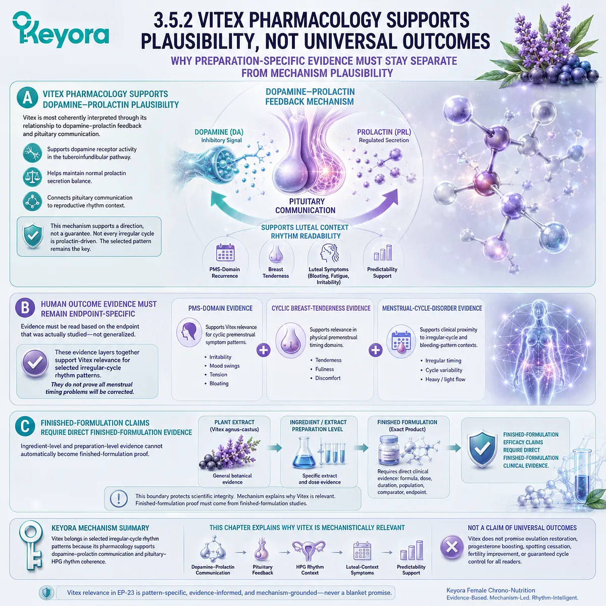 Irregular menstrual cycle support is interpreted through Vitex pharmacology, dopamine-prolactin communication, and pituitary feedback, while distinguishing mechanism plausibility from endpoint-specific evidence in the Keyora Cycle Predictability Mechanism Bridge. Irregular menstrual cycle support is interpreted through Vitex pharmacology, dopamine-prolactin communication, and pituitary feedback, while distinguishing mechanism plausibility from endpoint-specific evidence in the Keyora Cycle Predictability Mechanism Bridge.