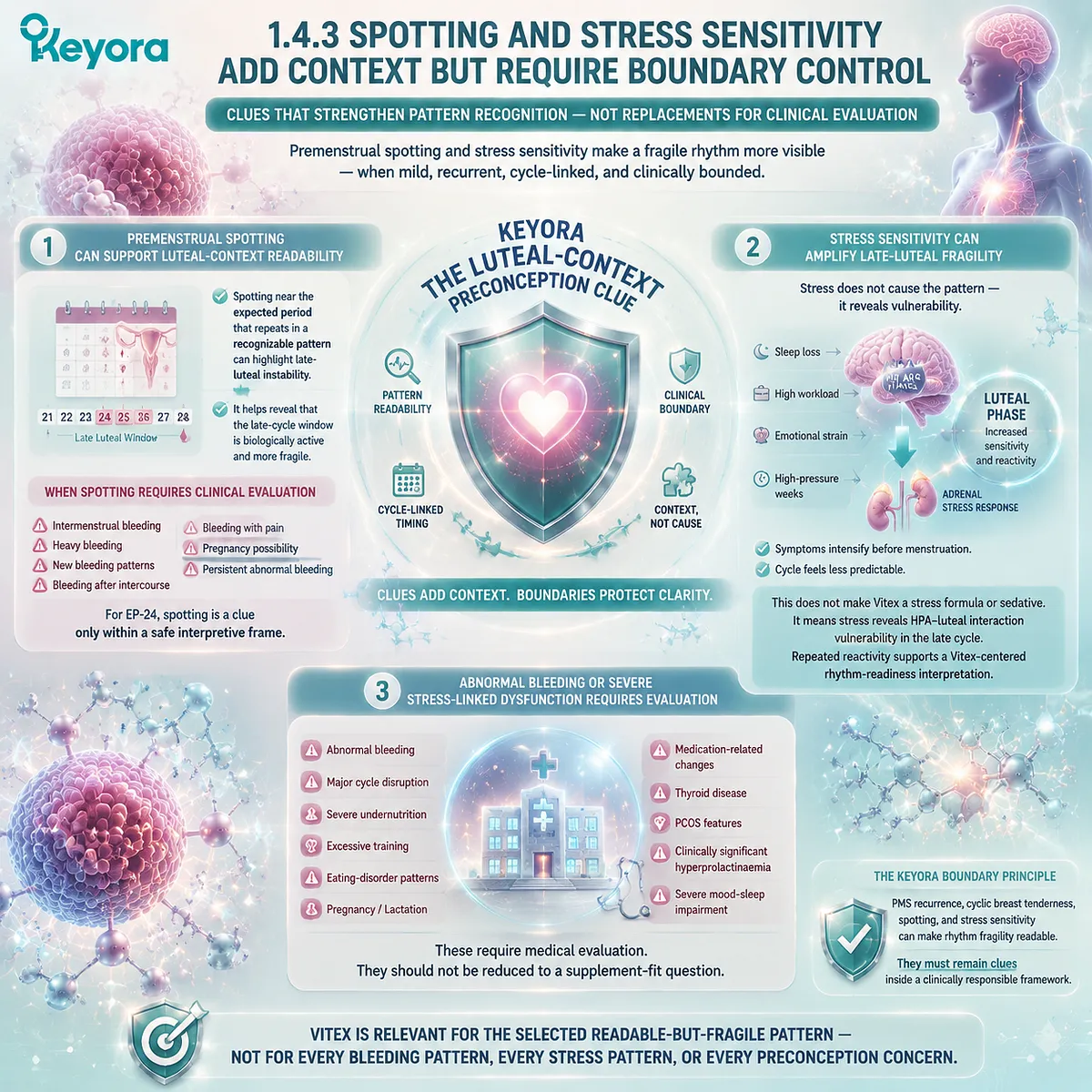 Vitex preconception nutrition interprets spotting and stress sensitivity as luteal-context clues through cycle timing, HPA-luteal interaction, and dopamine-prolactin communication in Keyora Luteal-Context Preconception Clue. Vitex preconception nutrition interprets spotting and stress sensitivity as luteal-context clues through cycle timing, HPA-luteal interaction, and dopamine-prolactin communication in Keyora Luteal-Context Preconception Clue.