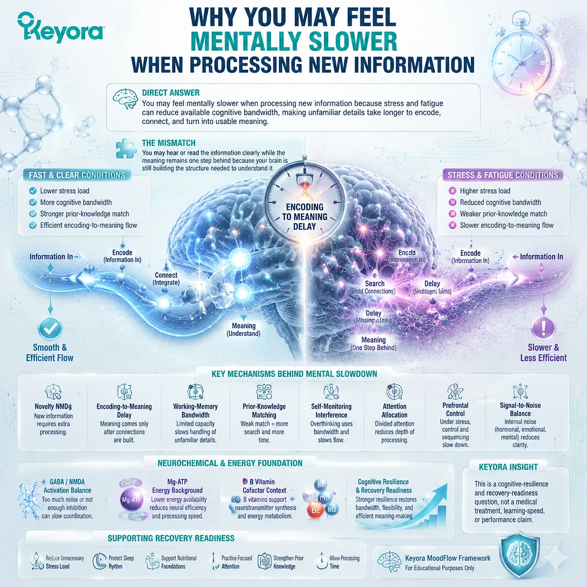 Brain fog and slow information processing involve novelty encoding, working-memory bandwidth, and GABA/NMDA balance within the Keyora MoodFlow Matrix cognitive resilience framework. Brain fog and slow information processing involve novelty encoding, working-memory bandwidth, and GABA/NMDA balance within the Keyora MoodFlow Matrix cognitive resilience framework.