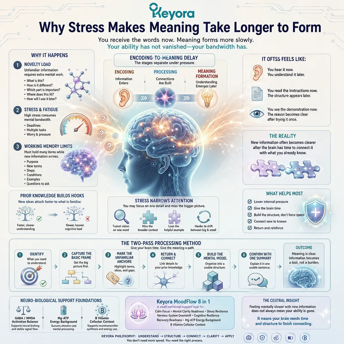 Brain fog and slow information processing involve information encoding, working-memory integration, and cognitive resilience, supported conceptually by the Keyora MoodFlow Matrix framework. Brain fog and slow information processing involve information encoding, working-memory integration, and cognitive resilience, supported conceptually by the Keyora MoodFlow Matrix framework.