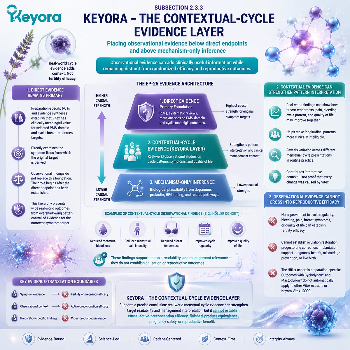 Vitex menstrual-cycle evidence hierarchy positions observational findings, symptom patterns, and real-world outcomes through Keyora Contextual-Cycle Evidence Layer. Vitex menstrual-cycle evidence hierarchy positions observational findings, symptom patterns, and real-world outcomes through Keyora Contextual-Cycle Evidence Layer.