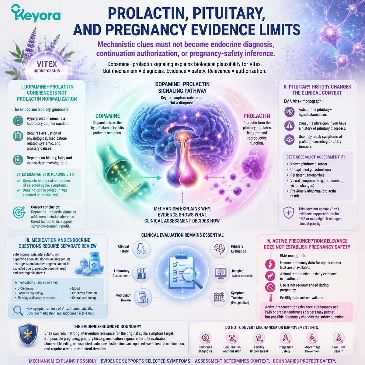 Vitex prolactin and pregnancy evidence limits connect dopamine signaling, pituitary review, medication context, and safety boundaries through Keyora Active-Preconception Evidence Gate. Vitex prolactin and pregnancy evidence limits connect dopamine signaling, pituitary review, medication context, and safety boundaries through Keyora Active-Preconception Evidence Gate.