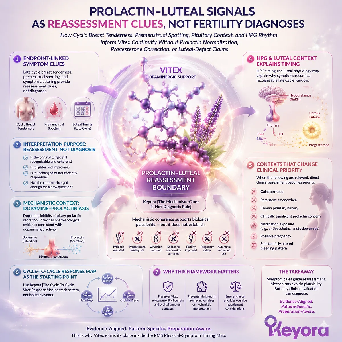 Vitex preconception support for cyclic breast tenderness and spotting interpretation through dopamine-prolactin signaling, HPG rhythm context, and Keyora Prolactin-Luteal Reassessment Boundary Vitex preconception support for cyclic breast tenderness and spotting interpretation through dopamine-prolactin signaling, HPG rhythm context, and Keyora Prolactin-Luteal Reassessment Boundary