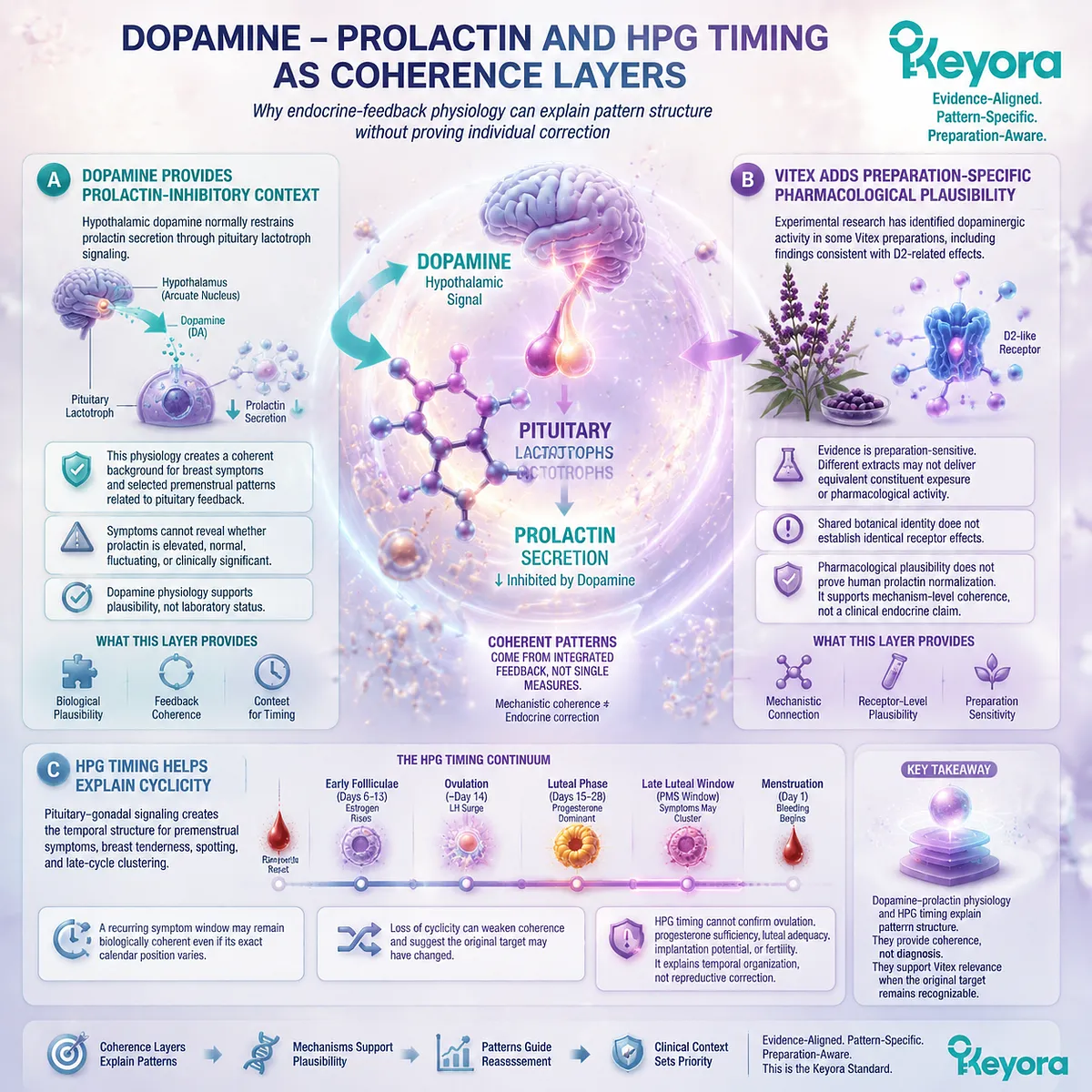 Vitex cyclic symptom interpretation through dopamine-prolactin physiology and HPG timing, explaining PMS patterns with Keyora Prolactin-Luteal Reassessment Boundary Vitex cyclic symptom interpretation through dopamine-prolactin physiology and HPG timing, explaining PMS patterns with Keyora Prolactin-Luteal Reassessment Boundary
