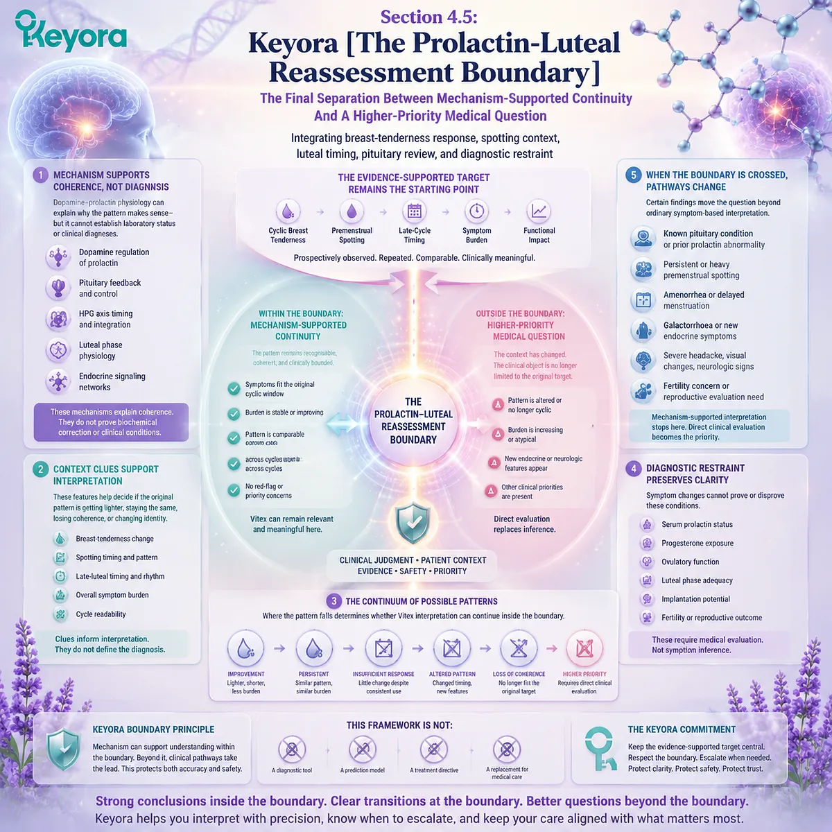 Vitex cyclic symptom reassessment integrates breast tenderness, spotting, luteal timing, and prolactin context through Keyora Prolactin-Luteal Reassessment Boundary Vitex cyclic symptom reassessment integrates breast tenderness, spotting, luteal timing, and prolactin context through Keyora Prolactin-Luteal Reassessment Boundary