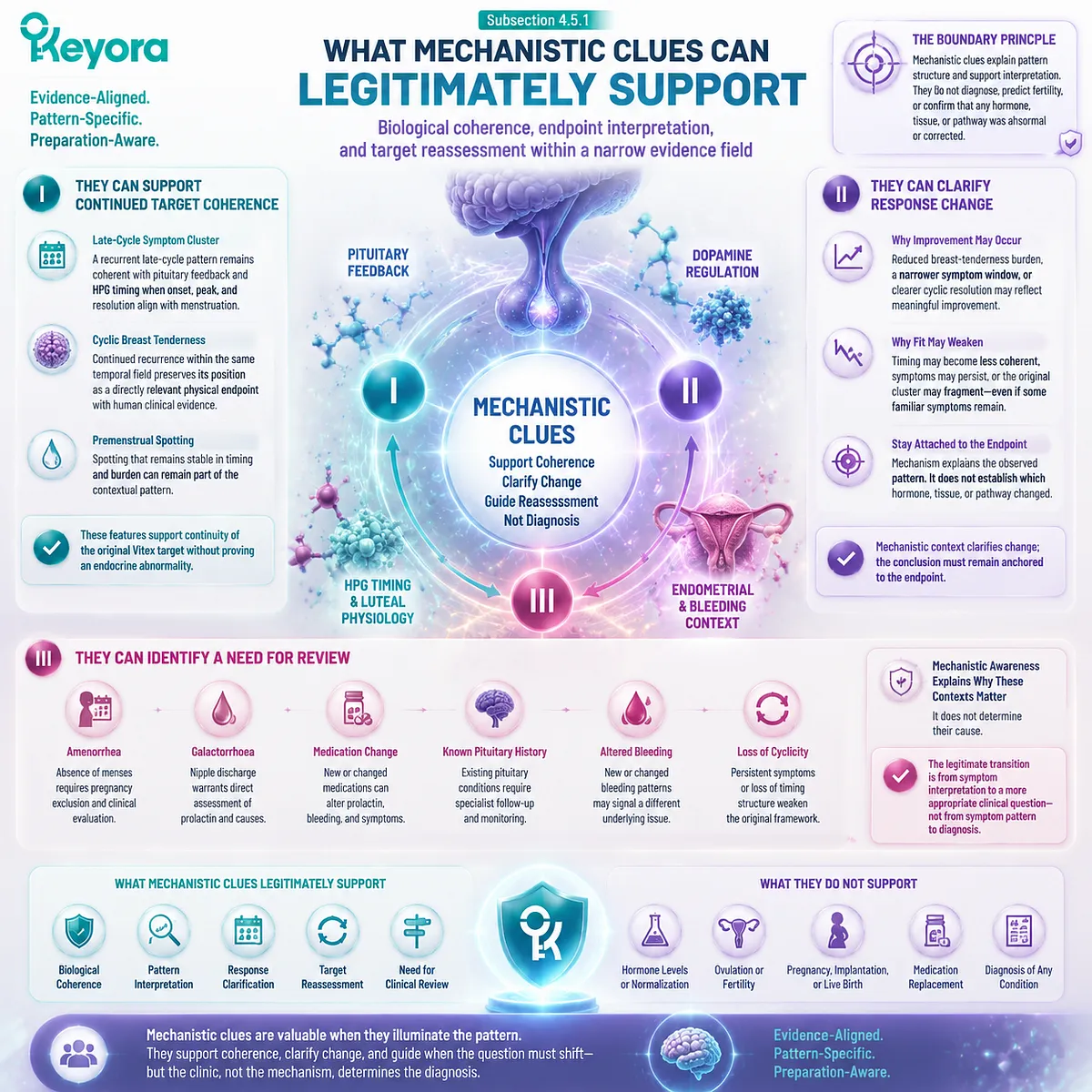 Vitex mechanism interpretation supports cyclic symptom reassessment through HPG timing, dopamine-prolactin context, and Keyora Prolactin-Luteal Reassessment Boundary Vitex mechanism interpretation supports cyclic symptom reassessment through HPG timing, dopamine-prolactin context, and Keyora Prolactin-Luteal Reassessment Boundary