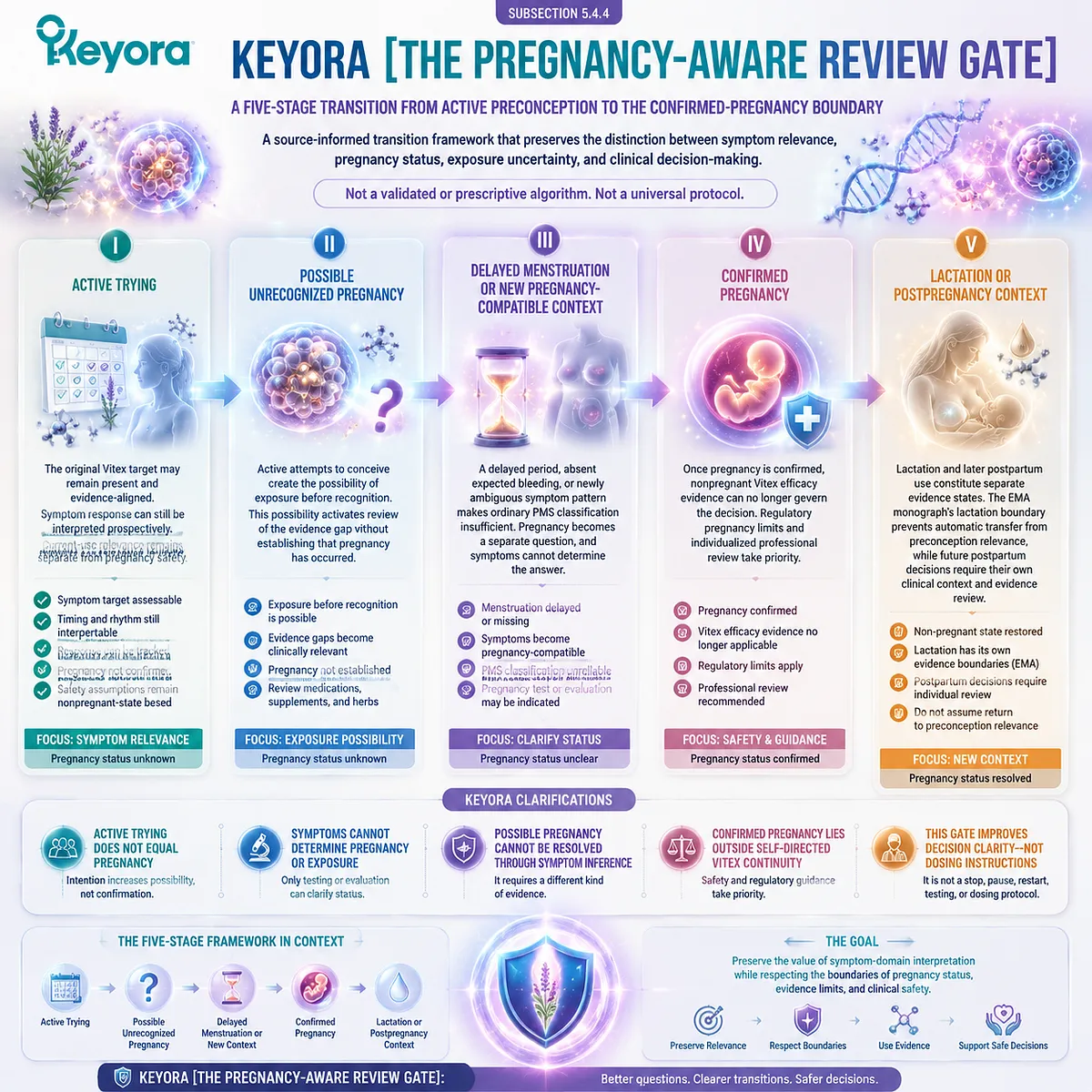 Vitex preconception nutrition transition map separates active trying, possible pregnancy and confirmed pregnancy through Keyora Pregnancy-Aware Review Gate Vitex preconception nutrition transition map separates active trying, possible pregnancy and confirmed pregnancy through Keyora Pregnancy-Aware Review Gate