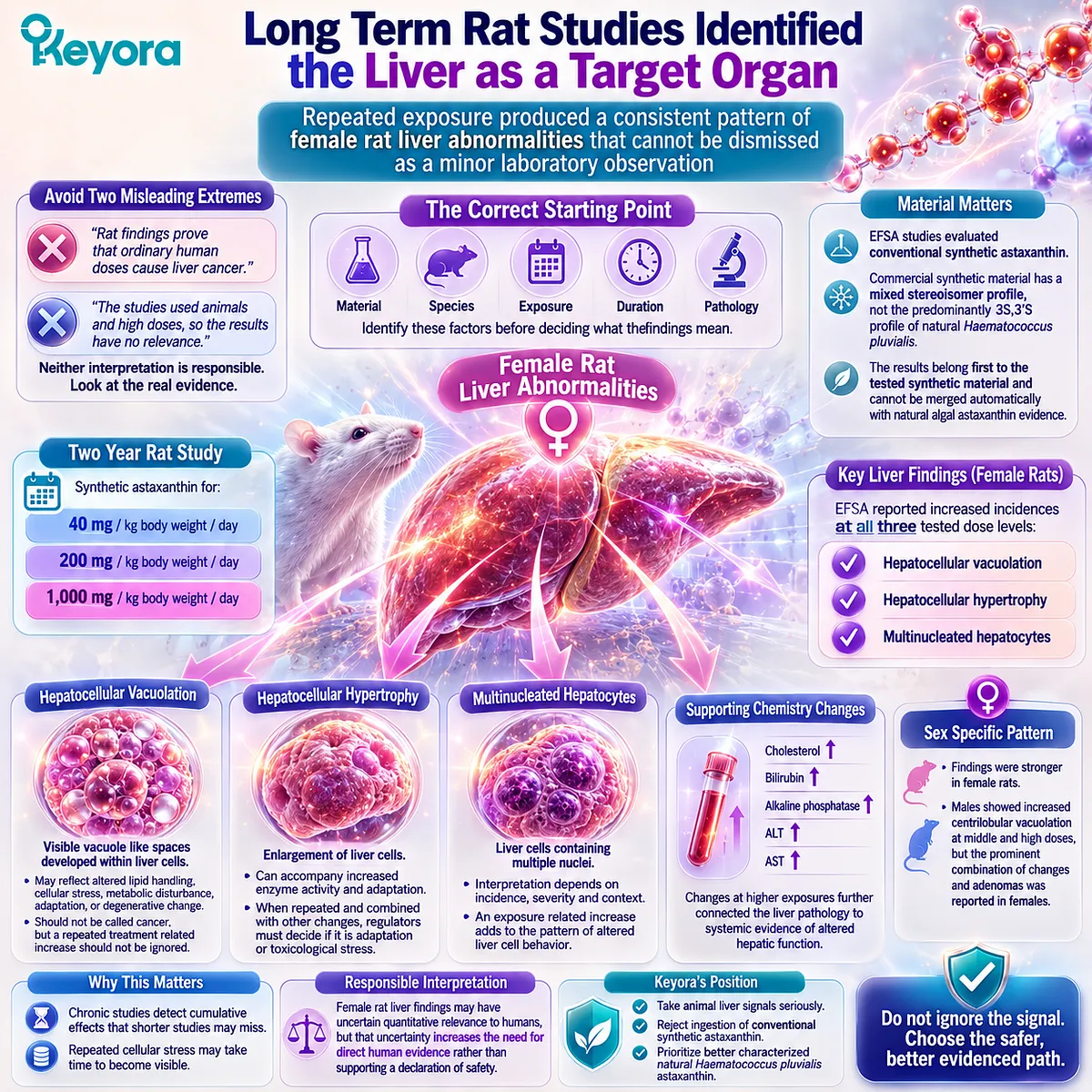 Synthetic astaxanthin chronic animal studies identified repeated liver cell changes after long-term exposure, emphasizing target-organ safety evaluation within the Keyora Astaxanthin Matrix before human supplementation. Synthetic astaxanthin chronic animal studies identified repeated liver cell changes after long-term exposure, emphasizing target-organ safety evaluation within the Keyora Astaxanthin Matrix before human supplementation.