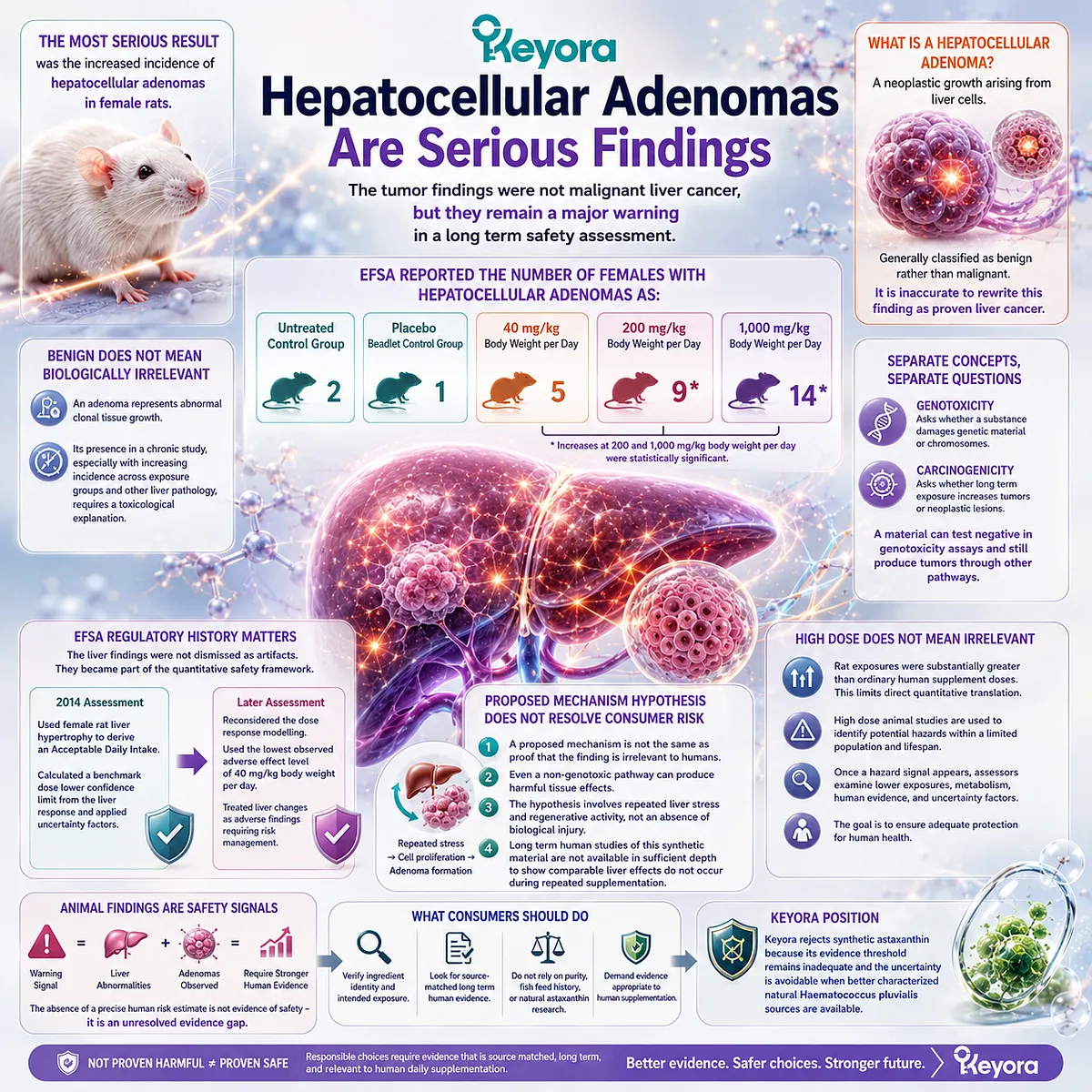 Synthetic astaxanthin chronic toxicology identified hepatocellular adenomas and liver cell abnormalities in animal studies, underscoring the need for source-matched long-term human safety evidence in the Keyora Astaxanthin Matrix. Synthetic astaxanthin chronic toxicology identified hepatocellular adenomas and liver cell abnormalities in animal studies, underscoring the need for source-matched long-term human safety evidence in the Keyora Astaxanthin Matrix.