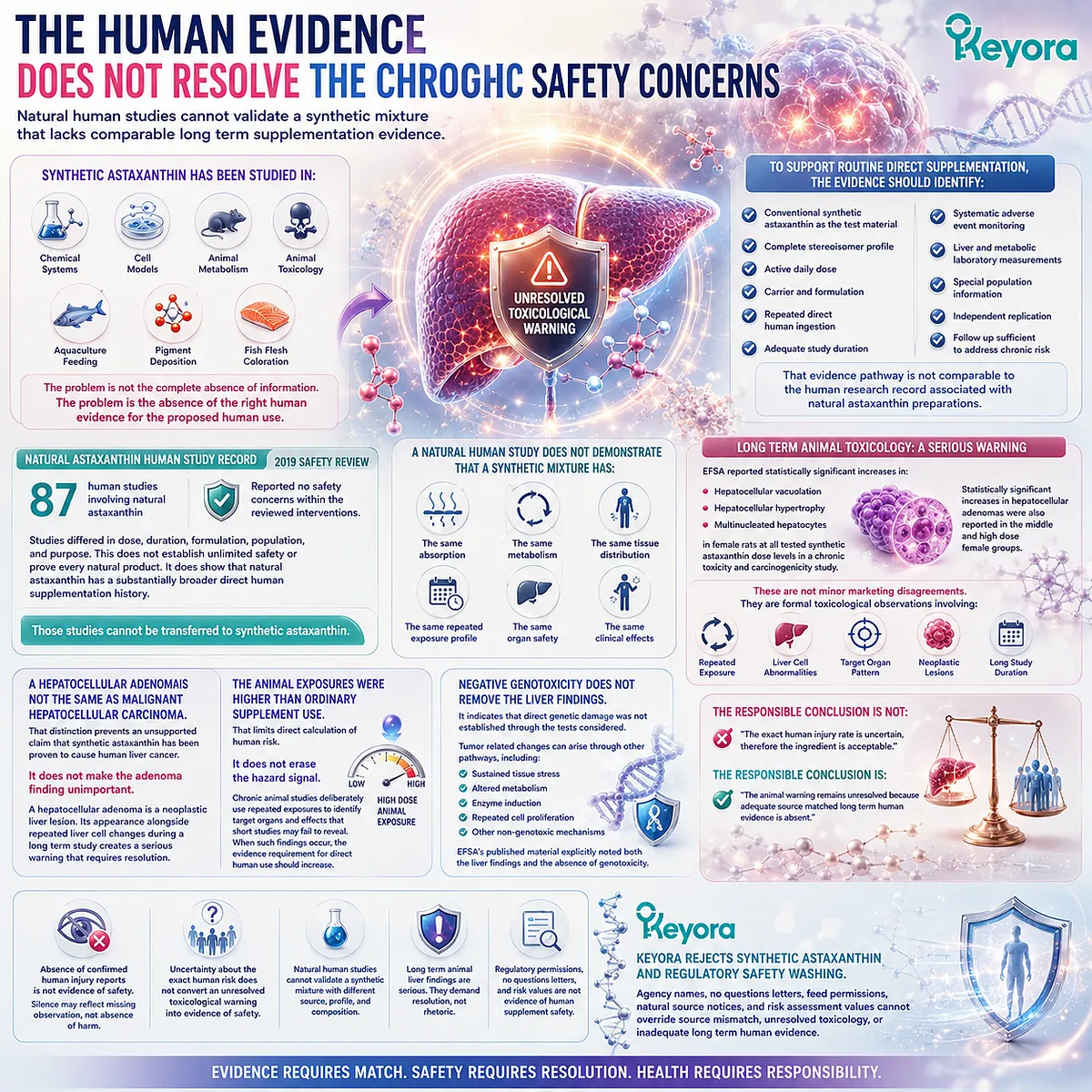 Natural astaxanthin human studies cannot validate conventional synthetic astaxanthin because chronic safety evaluation depends on source-matched evidence, toxicology, and long-term exposure, as mapped by the Keyora Astaxanthin Matrix. Natural astaxanthin human studies cannot validate conventional synthetic astaxanthin because chronic safety evaluation depends on source-matched evidence, toxicology, and long-term exposure, as mapped by the Keyora Astaxanthin Matrix.