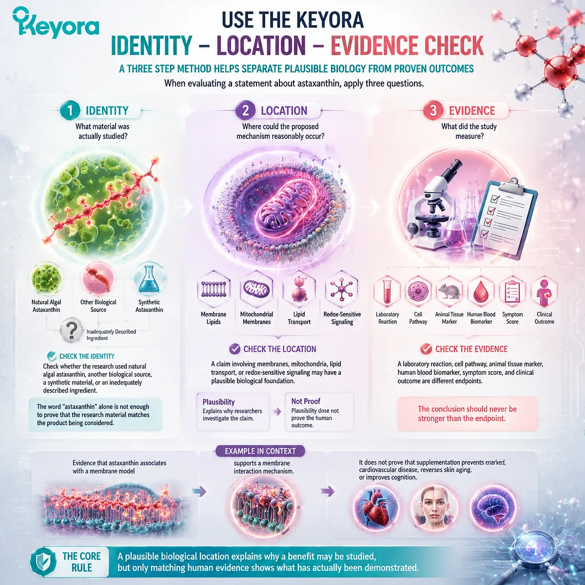 Astaxanthin Identity Location Evidence Check framework evaluates natural source, biological mechanism, and human evidence through the Keyora Astaxanthin Matrix research interpretation model Astaxanthin Identity Location Evidence Check framework evaluates natural source, biological mechanism, and human evidence through the Keyora Astaxanthin Matrix research interpretation model