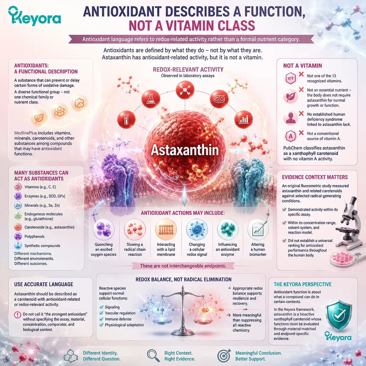 Astaxanthin antioxidant activity map showing redox balance, radical interaction, lipid membrane effects, and cellular signaling through Keyora Astaxanthin Matrix framework Astaxanthin antioxidant activity map showing redox balance, radical interaction, lipid membrane effects, and cellular signaling through Keyora Astaxanthin Matrix framework
