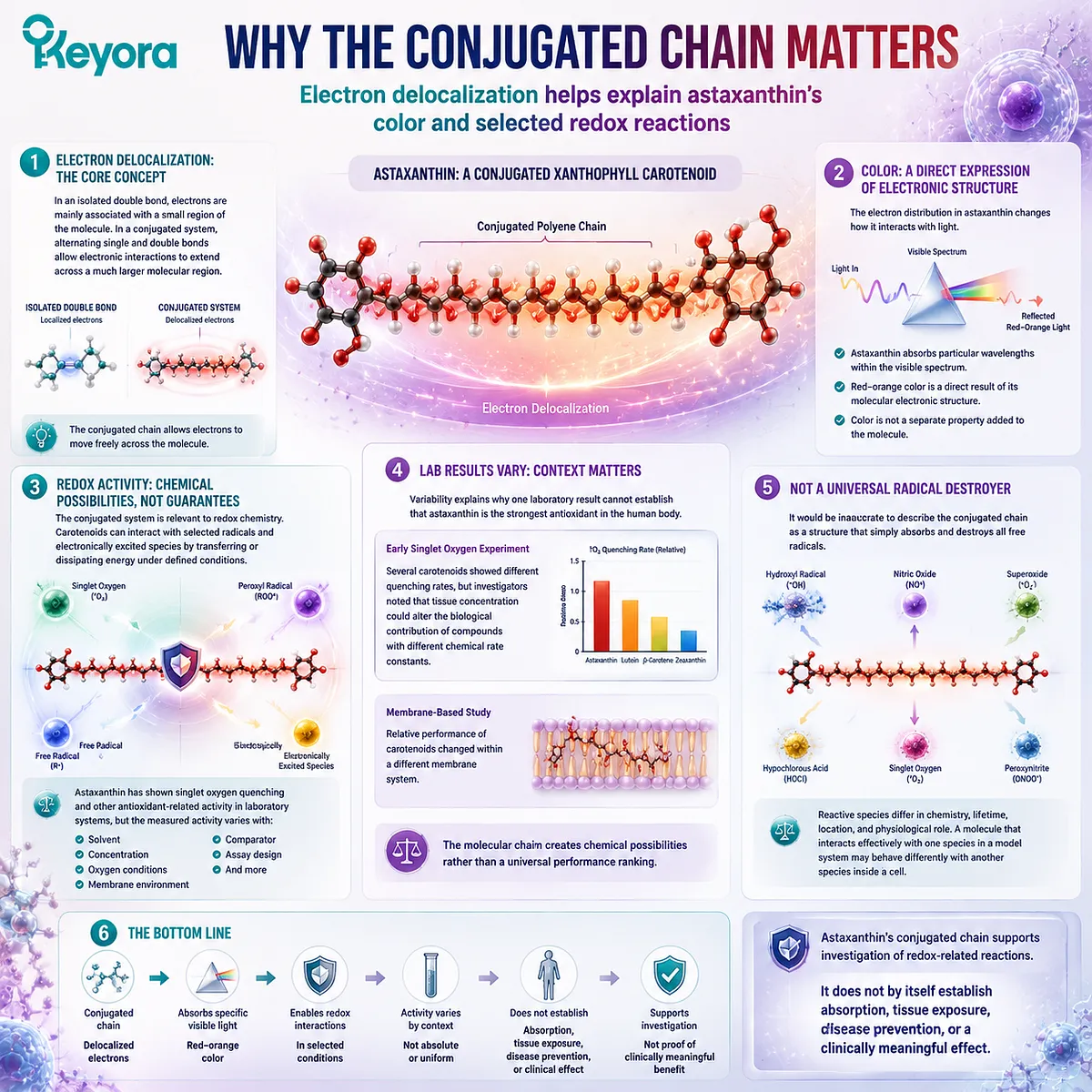 Astaxanthin conjugated chain mechanism map showing electron delocalization, light absorption, redox activity, and Keyora Astaxanthin Matrix evidence framework Astaxanthin conjugated chain mechanism map showing electron delocalization, light absorption, redox activity, and Keyora Astaxanthin Matrix evidence framework