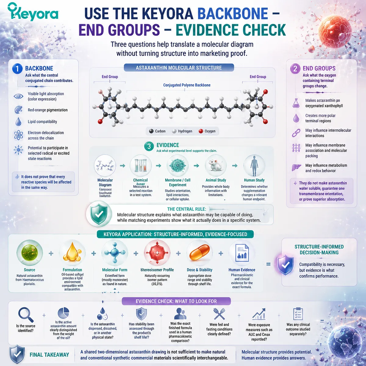 Astaxanthin Backbone End Groups Evidence Check showing conjugated chain, oxygen groups, molecular interpretation, and Keyora Astaxanthin Matrix framework Astaxanthin Backbone End Groups Evidence Check showing conjugated chain, oxygen groups, molecular interpretation, and Keyora Astaxanthin Matrix framework