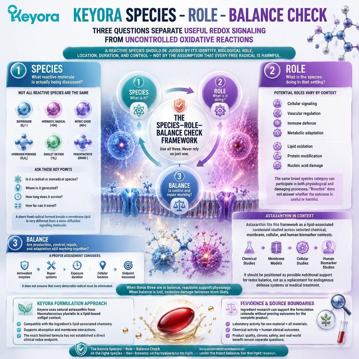 Astaxanthin Species Role Balance Check showing reactive molecule identity, redox function, control systems, and Keyora Astaxanthin Matrix framework Astaxanthin Species Role Balance Check showing reactive molecule identity, redox function, control systems, and Keyora Astaxanthin Matrix framework