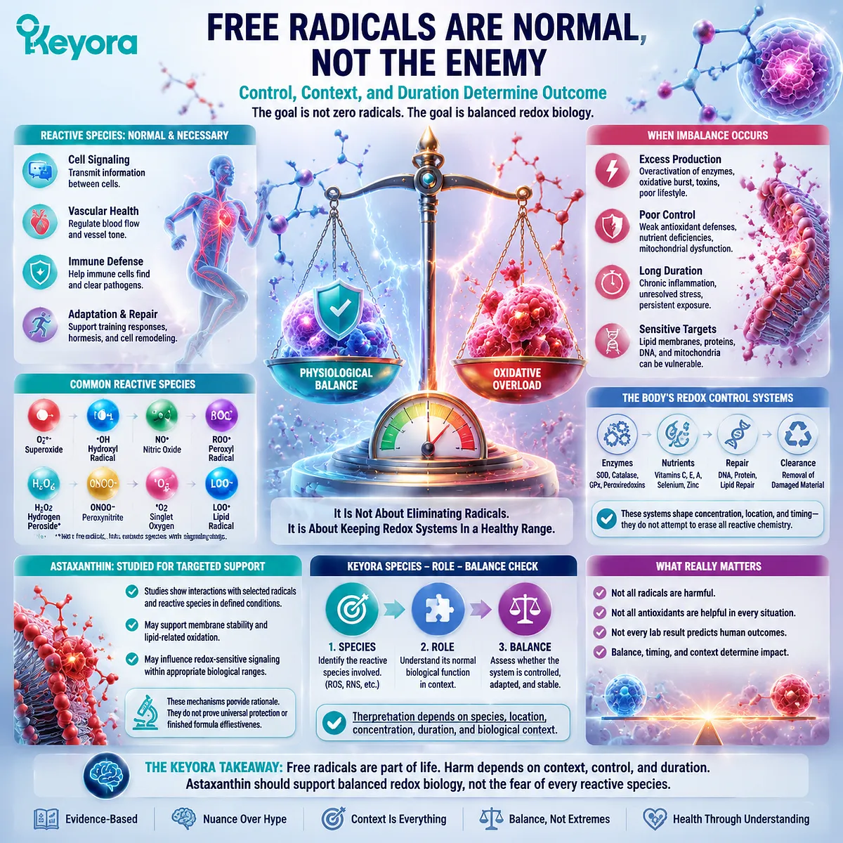 Astaxanthin redox balance summary map showing free radical context, reactive species control, biological roles, and Keyora Species Role Balance Check framework Astaxanthin redox balance summary map showing free radical context, reactive species control, biological roles, and Keyora Species Role Balance Check framework