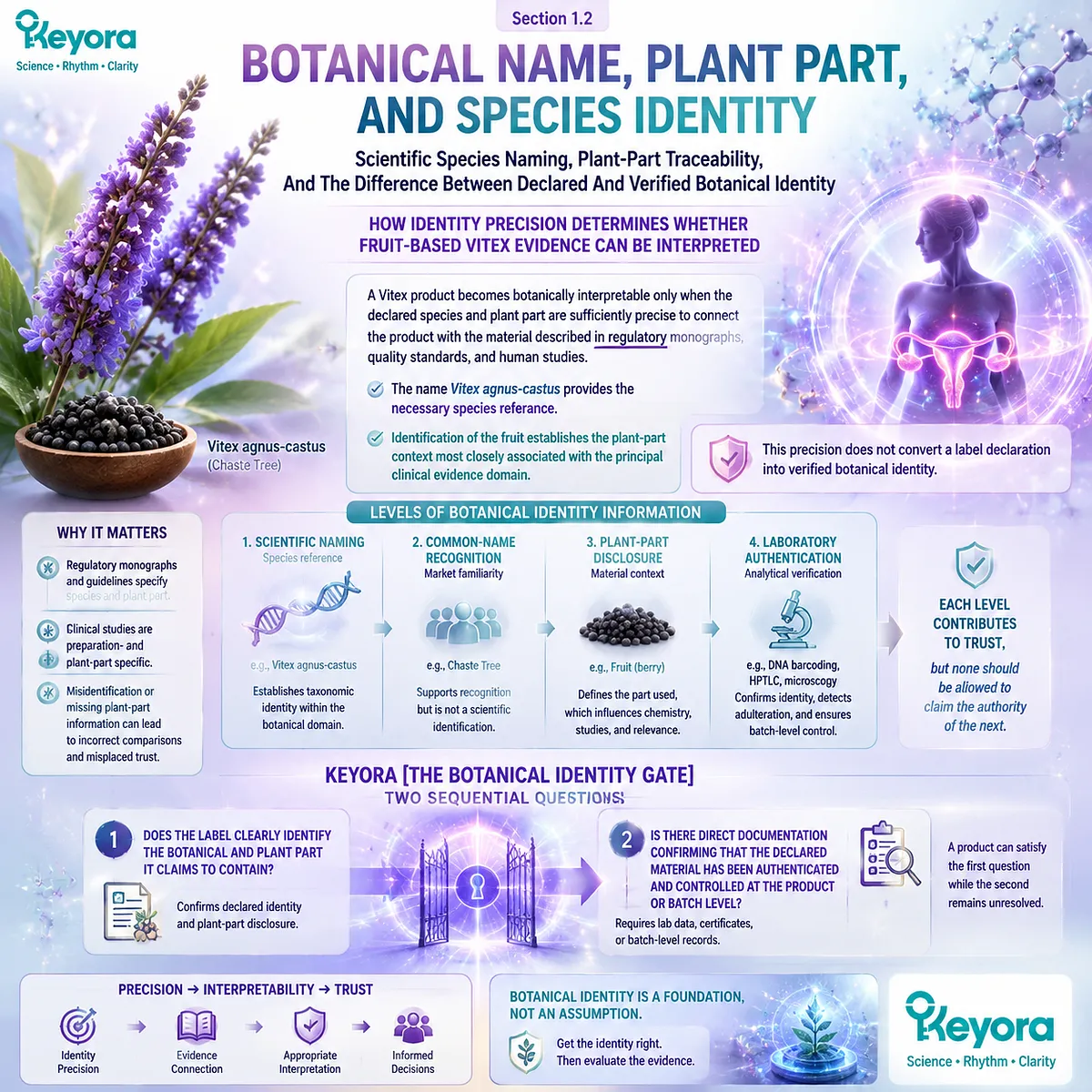 Vitex agnus-castus fruit identity and botanical authentication define evidence interpretation through Keyora Botanical Identity Gate separating label declaration from verified quality control Vitex agnus-castus fruit identity and botanical authentication define evidence interpretation through Keyora Botanical Identity Gate separating label declaration from verified quality control