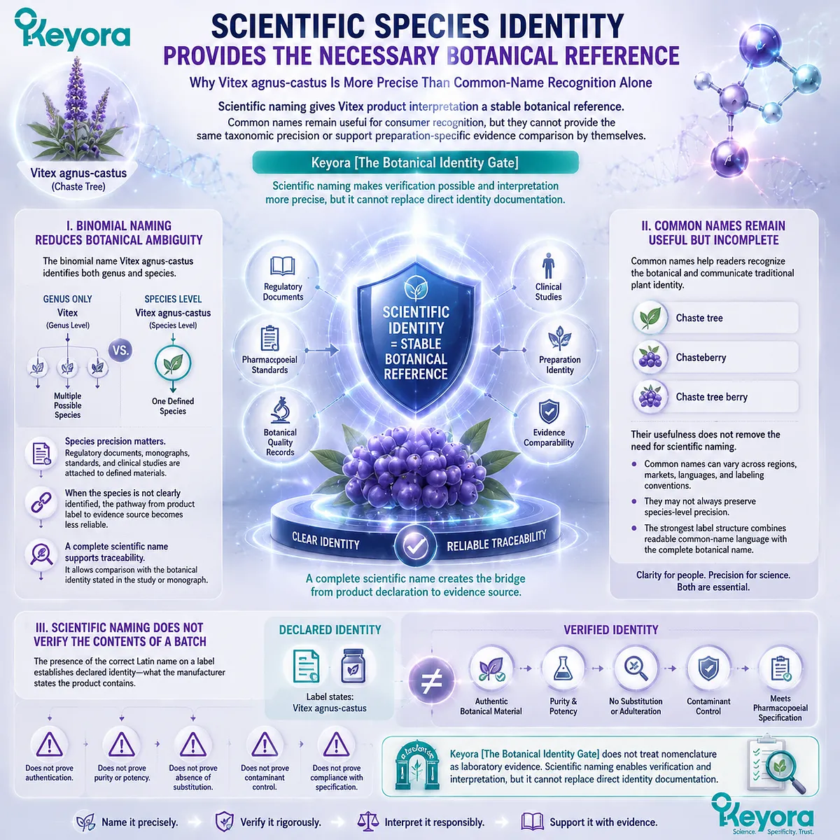 Vitex agnus-castus scientific identity improves botanical traceability but does not verify batch quality, framed by Keyora Botanical Identity Gate for evidence interpretation Vitex agnus-castus scientific identity improves botanical traceability but does not verify batch quality, framed by Keyora Botanical Identity Gate for evidence interpretation