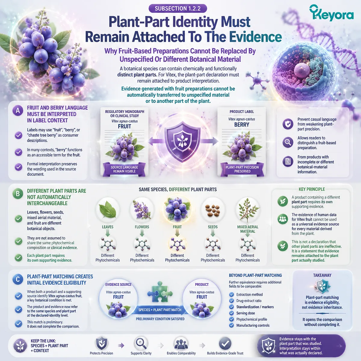 Vitex agnus-castus fruit identity links plant-part traceability with evidence eligibility, while Keyora Botanical Identity Gate separates fruit preparation matching from full clinical comparability Vitex agnus-castus fruit identity links plant-part traceability with evidence eligibility, while Keyora Botanical Identity Gate separates fruit preparation matching from full clinical comparability