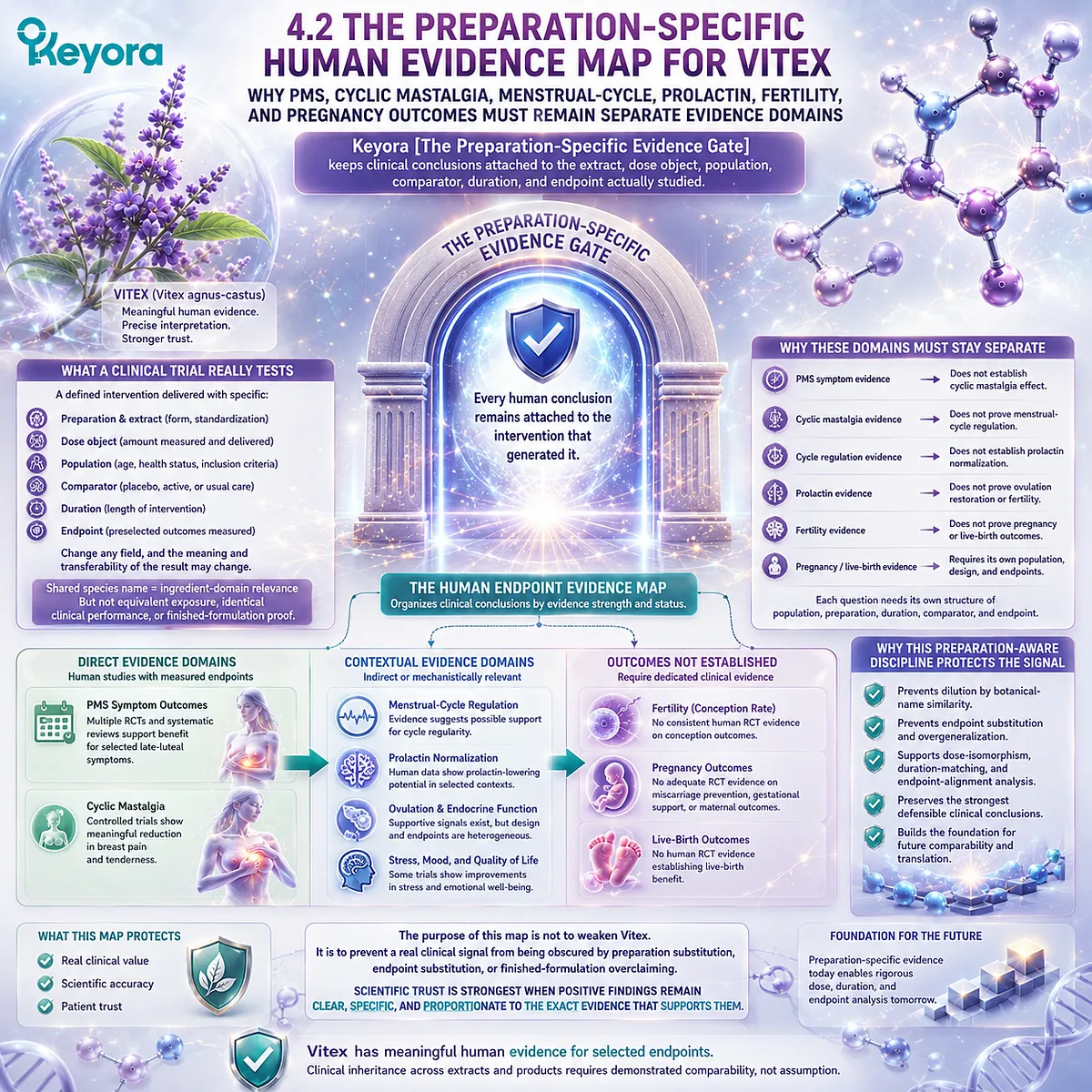 Vitex human clinical evidence map separates PMS, cyclic mastalgia, menstrual cycle, prolactin, fertility, and pregnancy outcomes by preparation, dose, population, comparator, duration, and endpoint within Keyora Preparation-Specific Evidence Gate. Vitex human clinical evidence map separates PMS, cyclic mastalgia, menstrual cycle, prolactin, fertility, and pregnancy outcomes by preparation, dose, population, comparator, duration, and endpoint within Keyora Preparation-Specific Evidence Gate.