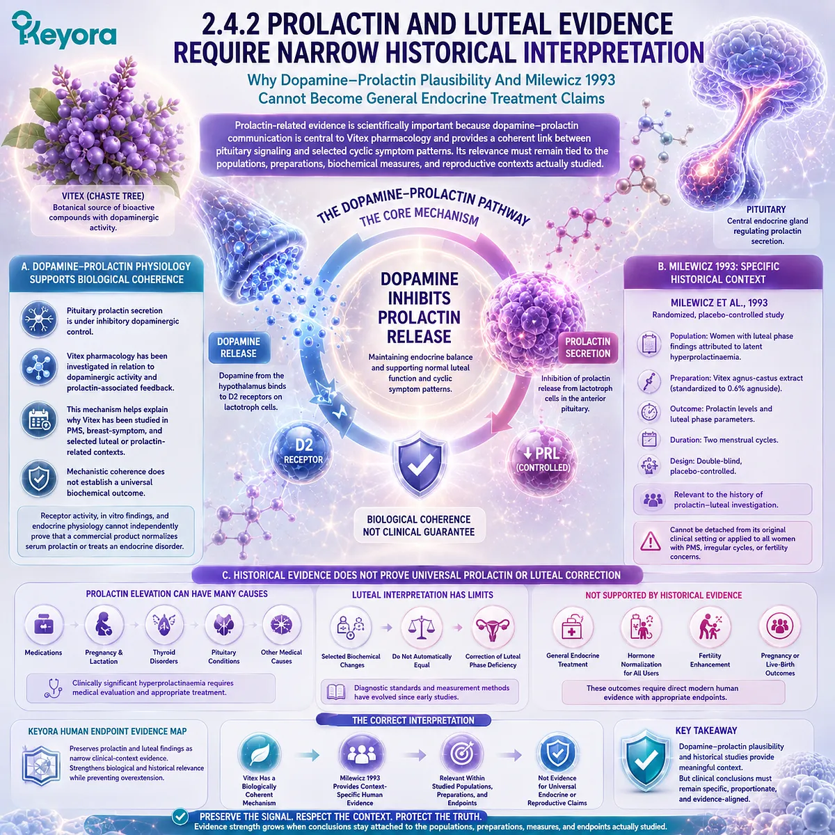Vitex prolactin and luteal evidence links dopamine-prolactin signaling with specific historical clinical contexts, while the Keyora Human Endpoint Evidence Map separates mechanistic plausibility from direct reproductive outcomes. Vitex prolactin and luteal evidence links dopamine-prolactin signaling with specific historical clinical contexts, while the Keyora Human Endpoint Evidence Map separates mechanistic plausibility from direct reproductive outcomes.