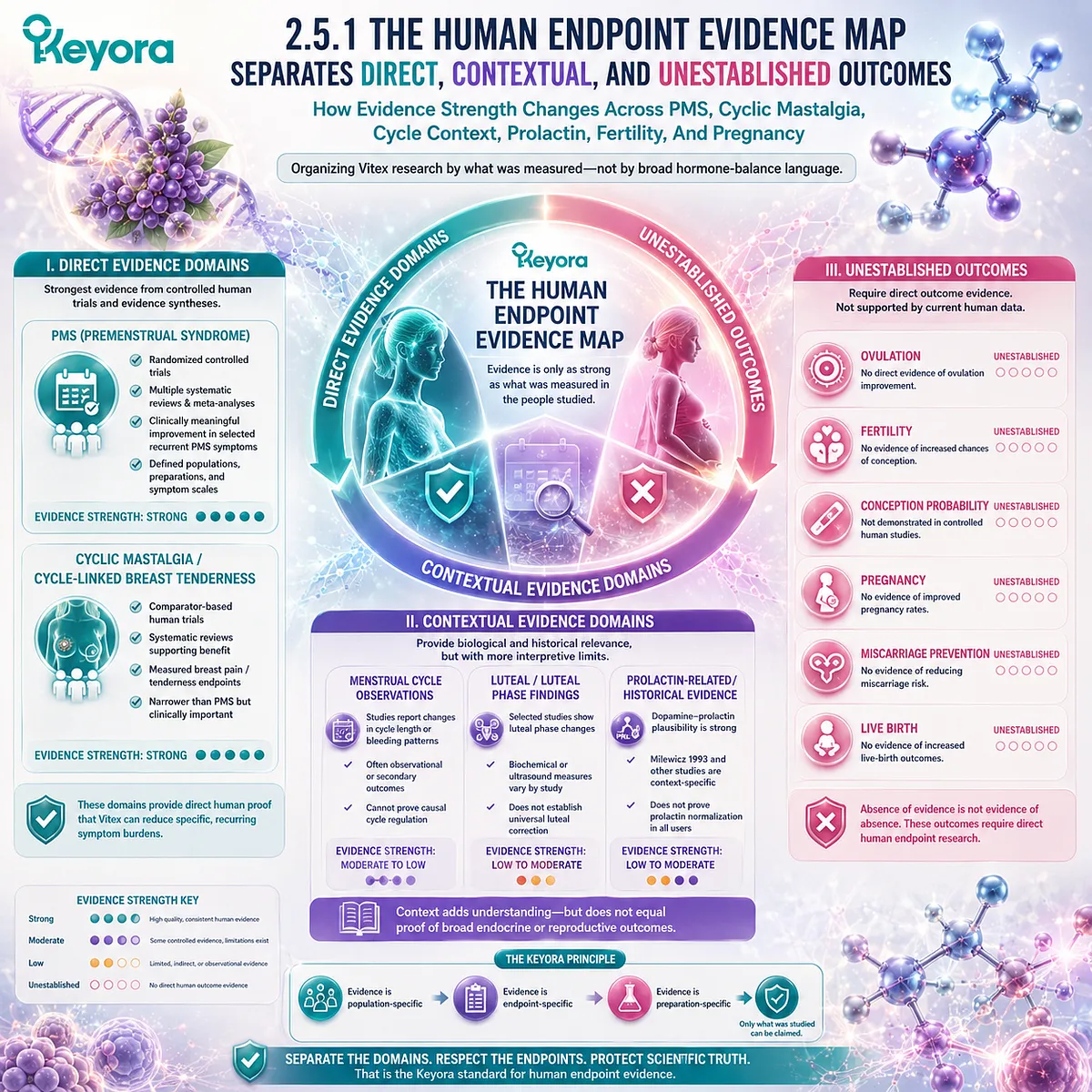 Vitex human evidence separates direct PMS and cyclic mastalgia outcomes from contextual menstrual cycle and prolactin findings, while preserving fertility and pregnancy as independent endpoints in the Keyora Human Endpoint Evidence Map. Vitex human evidence separates direct PMS and cyclic mastalgia outcomes from contextual menstrual cycle and prolactin findings, while preserving fertility and pregnancy as independent endpoints in the Keyora Human Endpoint Evidence Map.