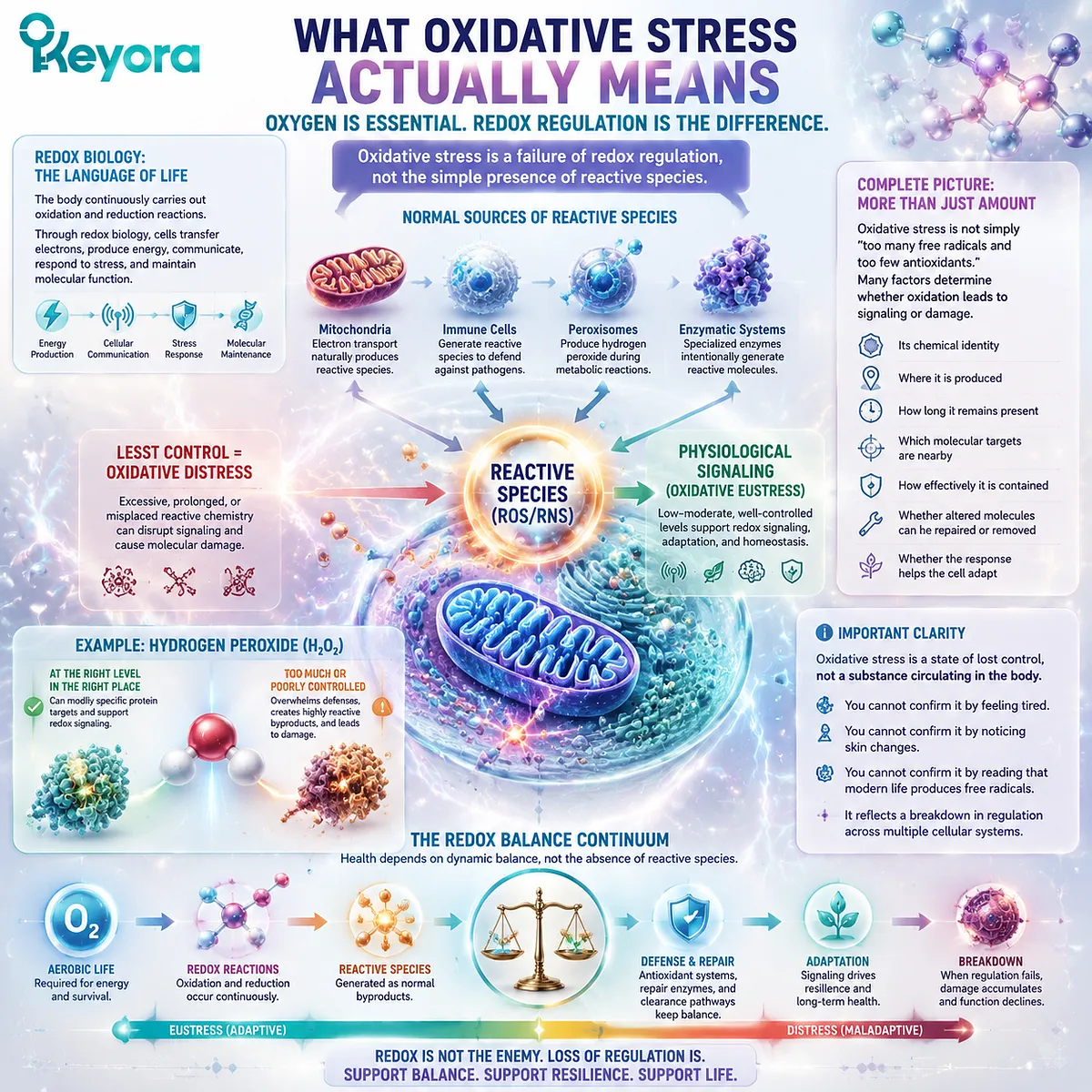 Oxidative stress reflects redox regulation imbalance, where reactive species signaling, mitochondrial control, and molecular defense are interpreted through the Keyora Astaxanthin Matrix framework. Oxidative stress reflects redox regulation imbalance, where reactive species signaling, mitochondrial control, and molecular defense are interpreted through the Keyora Astaxanthin Matrix framework.