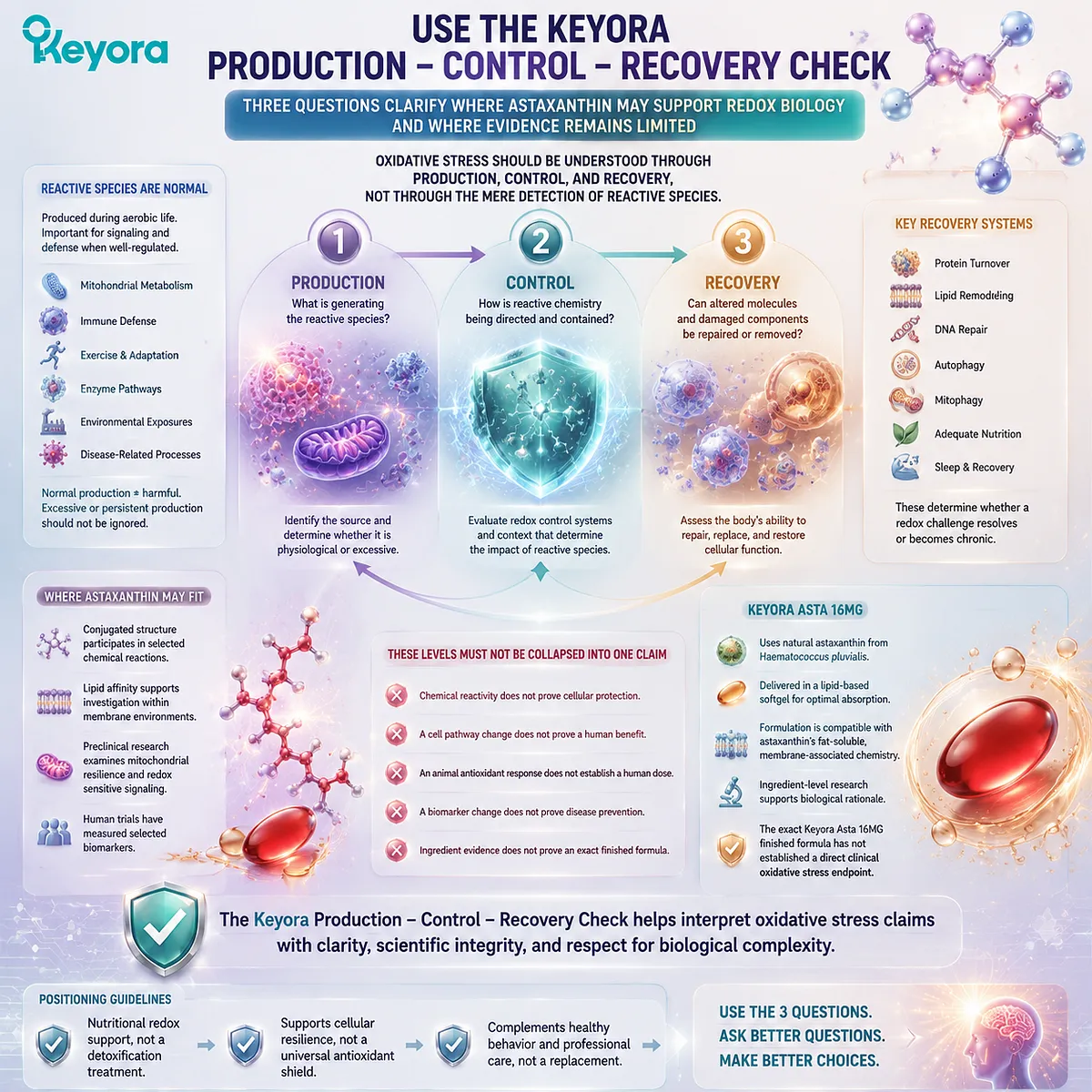 Astaxanthin redox support is evaluated through production, control, and recovery pathways, connecting oxidative stress balance with the Keyora Production-Control-Recovery Check framework. Astaxanthin redox support is evaluated through production, control, and recovery pathways, connecting oxidative stress balance with the Keyora Production-Control-Recovery Check framework.