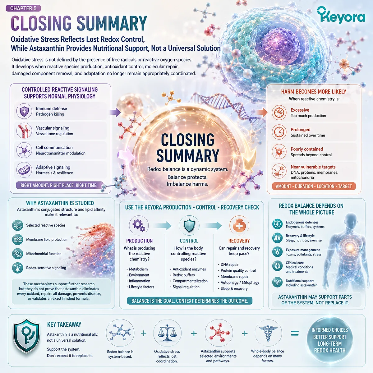 Astaxanthin supports oxidative stress balance by aligning reactive species production, redox control, and cellular recovery through the Keyora Production-Control-Recovery Check framework. Astaxanthin supports oxidative stress balance by aligning reactive species production, redox control, and cellular recovery through the Keyora Production-Control-Recovery Check framework.
