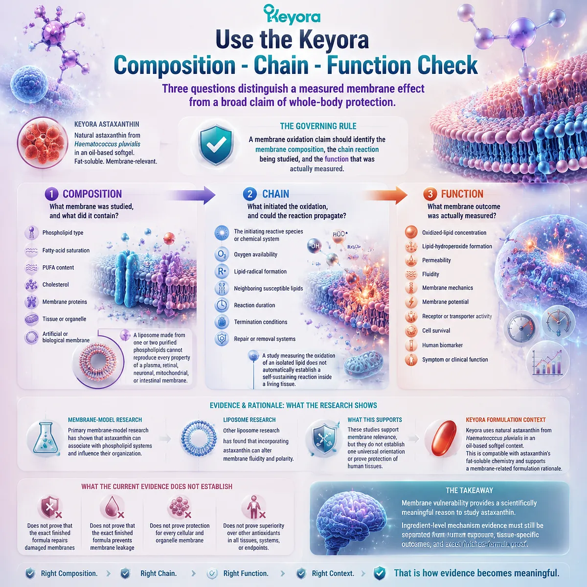 Astaxanthin membrane effects are evaluated through lipid composition, oxidation chain reactions, and functional endpoints using the Keyora Composition-Chain-Function Check. Astaxanthin membrane effects are evaluated through lipid composition, oxidation chain reactions, and functional endpoints using the Keyora Composition-Chain-Function Check.