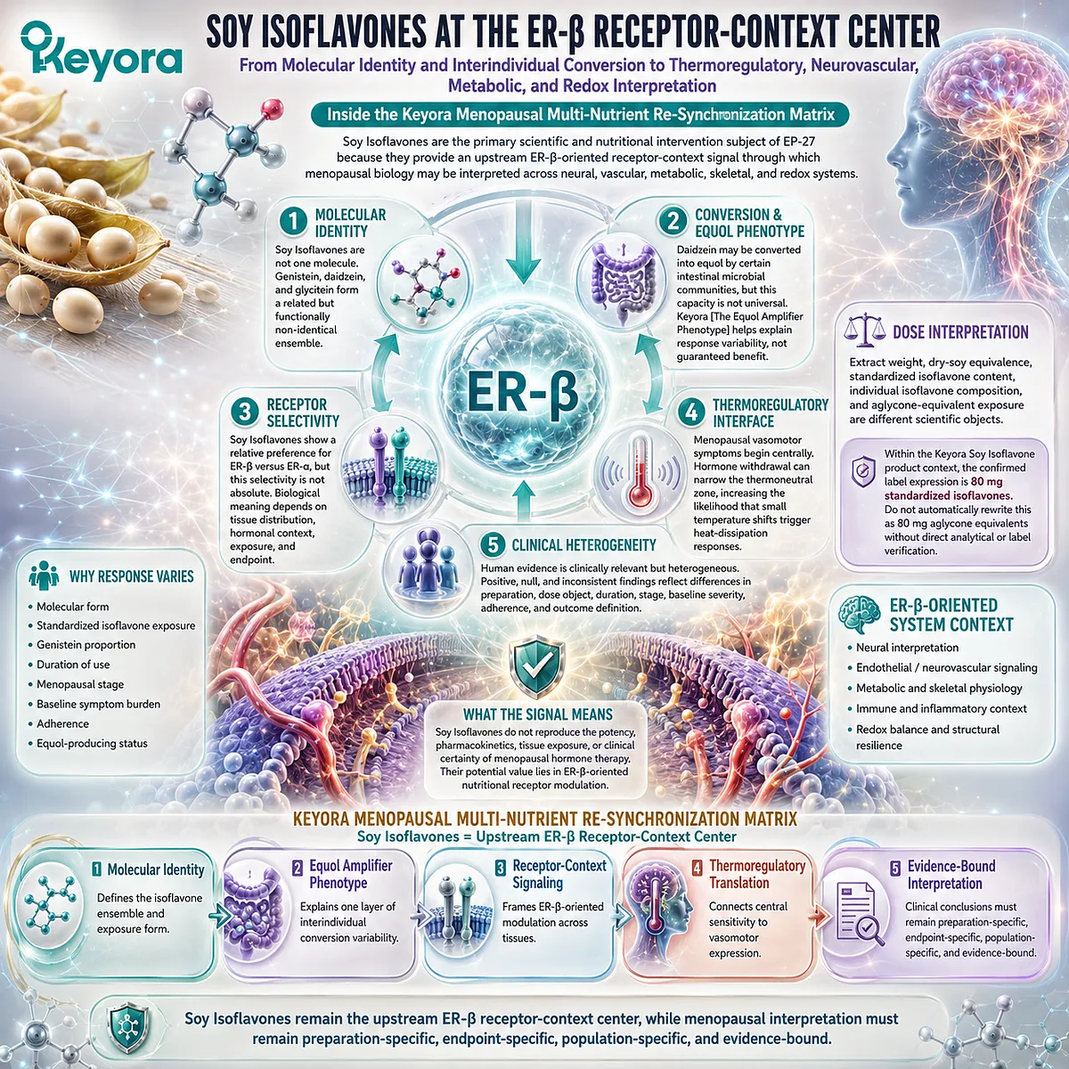 Soy isoflavones support menopause wellness through ER-β signaling, equol phenotype variability, and receptor-context biology, guiding stage-specific interpretation in the Keyora Menopausal Multi-Nutrient Re-Synchronization Matrix. Soy isoflavones support menopause wellness through ER-β signaling, equol phenotype variability, and receptor-context biology, guiding stage-specific interpretation in the Keyora Menopausal Multi-Nutrient Re-Synchronization Matrix.
