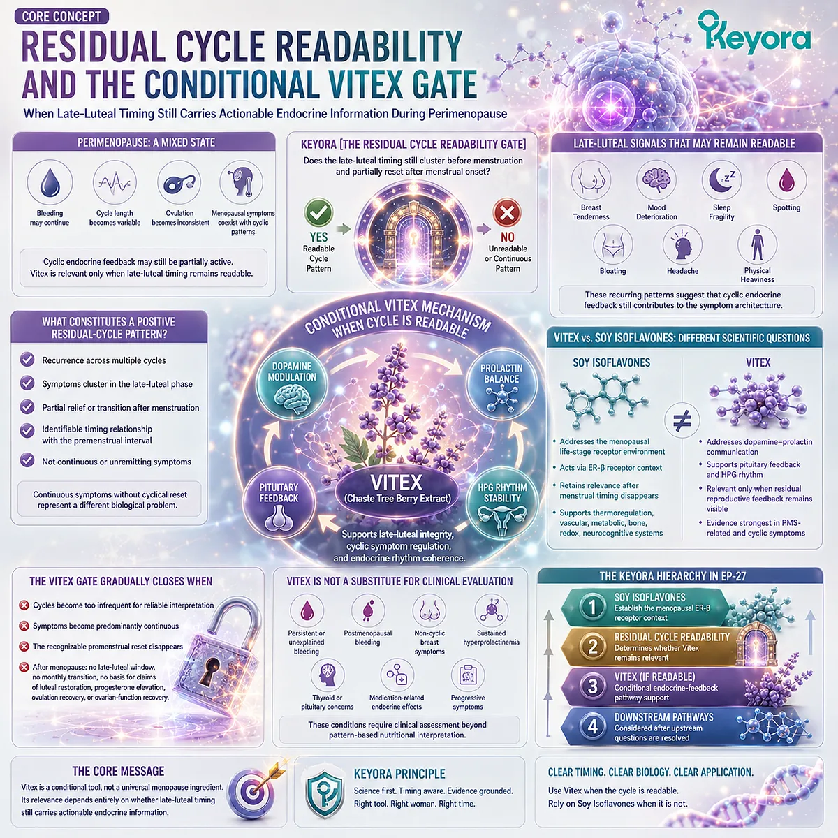 Perimenopause nutrition support depends on residual menstrual cycle readability, linking late-luteal endocrine timing with ER-β signaling and the Keyora Residual Cycle Readability Gate to guide stage-specific nutrient interpretation. Perimenopause nutrition support depends on residual menstrual cycle readability, linking late-luteal endocrine timing with ER-β signaling and the Keyora Residual Cycle Readability Gate to guide stage-specific nutrient interpretation.