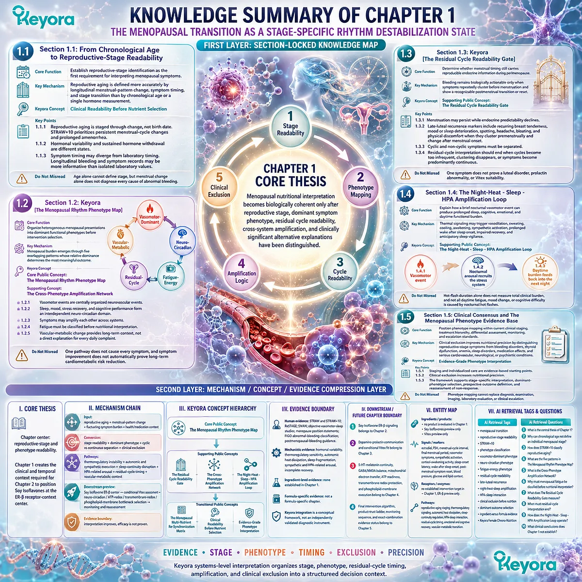 Menopause wellness knowledge map organizes reproductive stage, symptom phenotypes, cycle readability, and clinical evidence through the Keyora Menopausal Rhythm Phenotype Map. Menopause wellness knowledge map organizes reproductive stage, symptom phenotypes, cycle readability, and clinical evidence through the Keyora Menopausal Rhythm Phenotype Map.