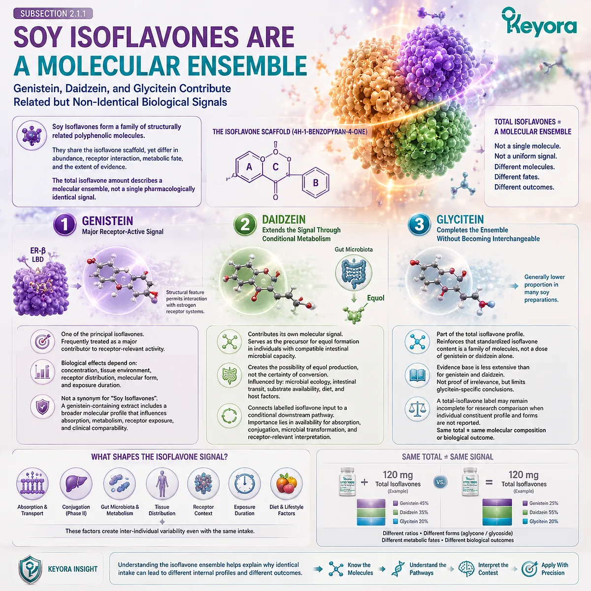 Soy isoflavones contain genistein, daidzein, and glycitein molecular signals that shape ER-β signaling and menopause wellness within the Keyora Female Chrono-Nutrition framework. Soy isoflavones contain genistein, daidzein, and glycitein molecular signals that shape ER-β signaling and menopause wellness within the Keyora Female Chrono-Nutrition framework.
