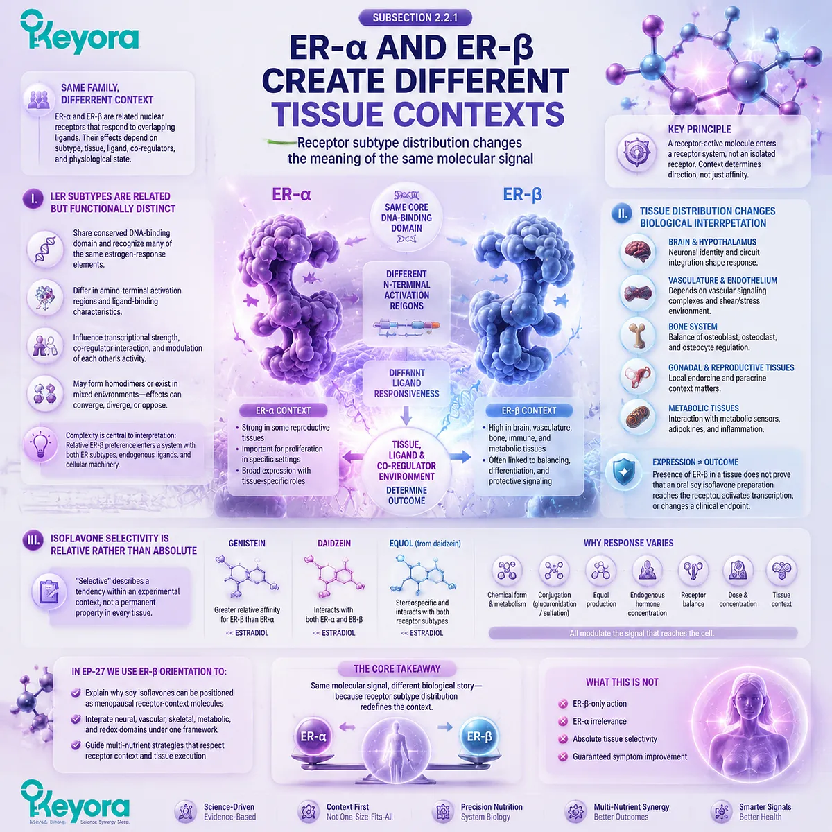 Soy isoflavones influence menopause wellness through ER-α and ER-β receptor context, tissue distribution, and selective signaling within the Keyora Female Chrono-Nutrition ER-β Receptor-Context Center. Soy isoflavones influence menopause wellness through ER-α and ER-β receptor context, tissue distribution, and selective signaling within the Keyora Female Chrono-Nutrition ER-β Receptor-Context Center.